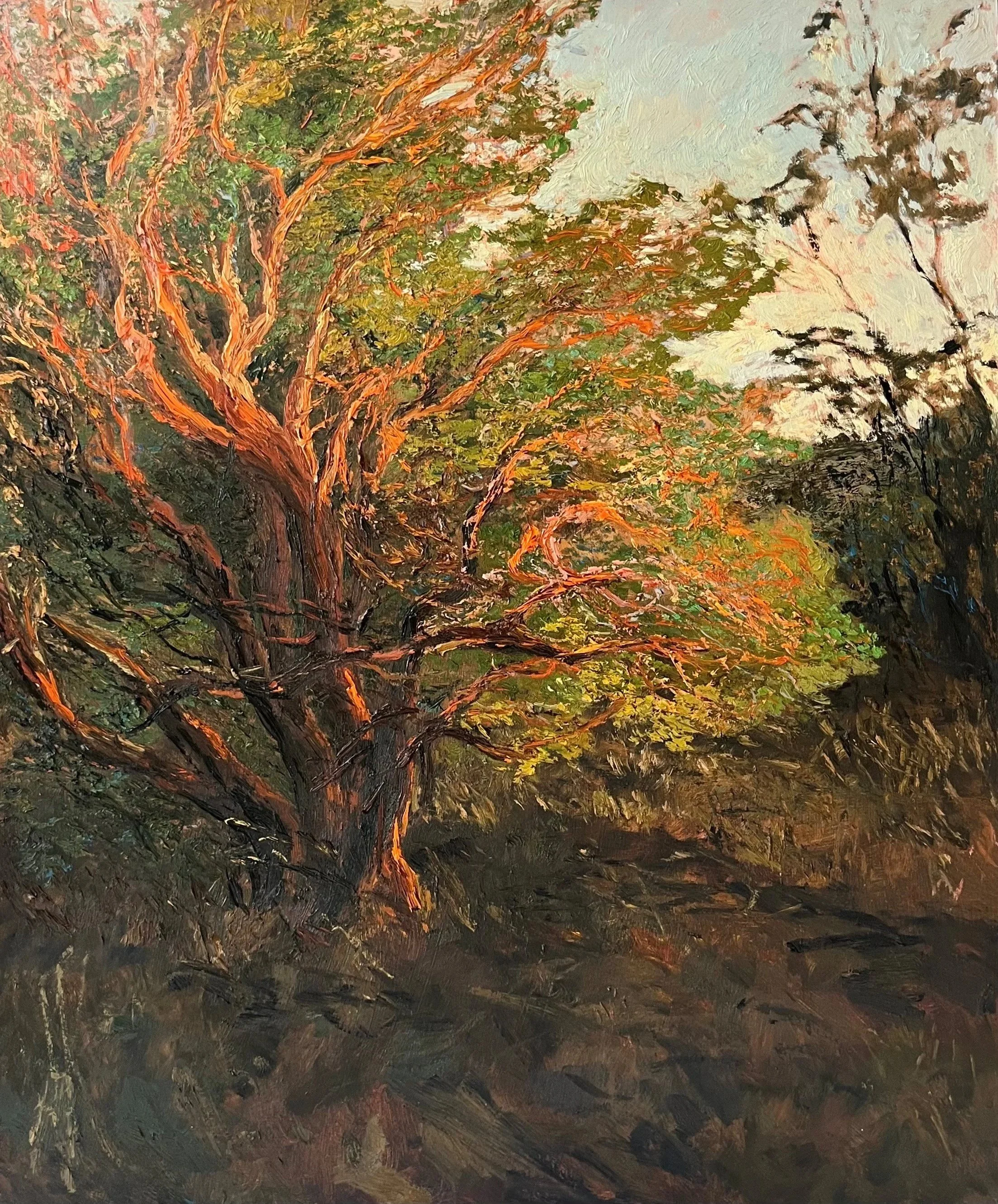 Evening Light V, 
61 x 51 cm