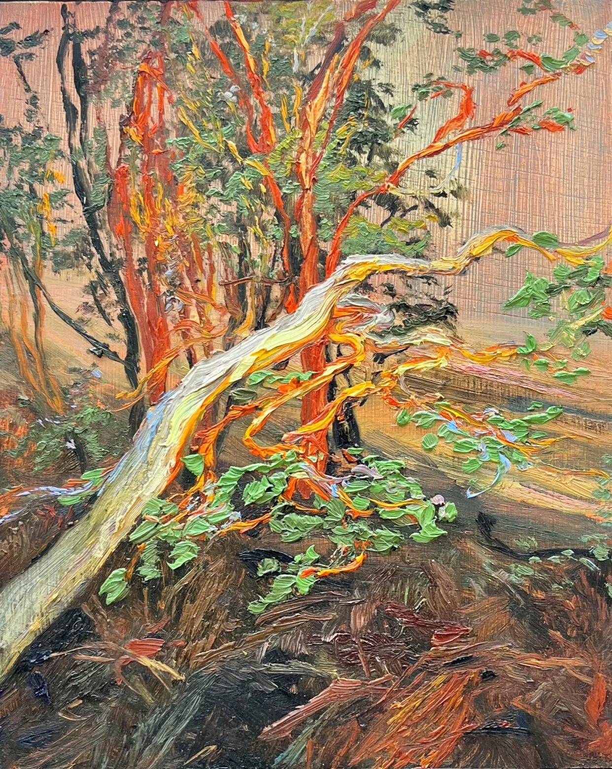White Box Eucalyptus III, 2026, 
26 x 20 cm