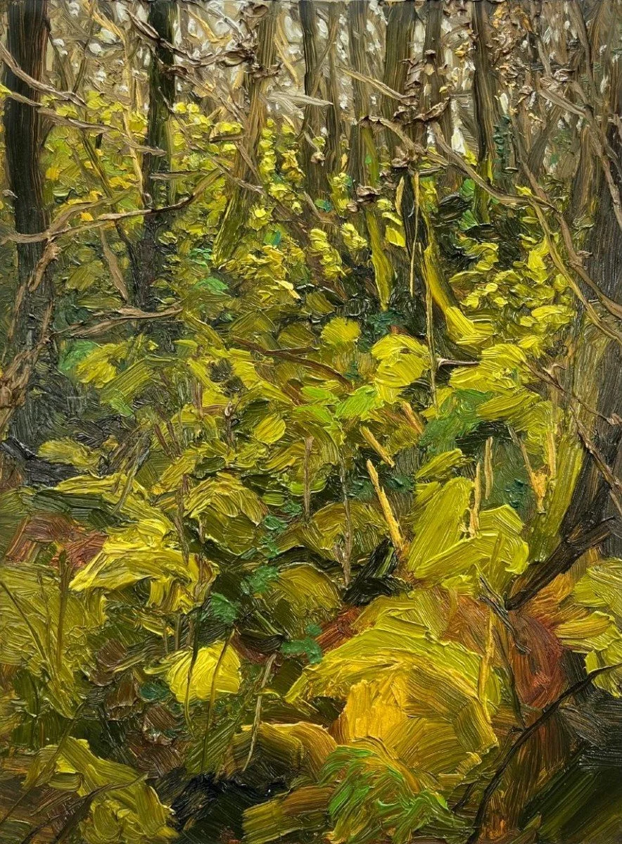 Coed Ganllwyd, 2024, 
31 x 23 cm
