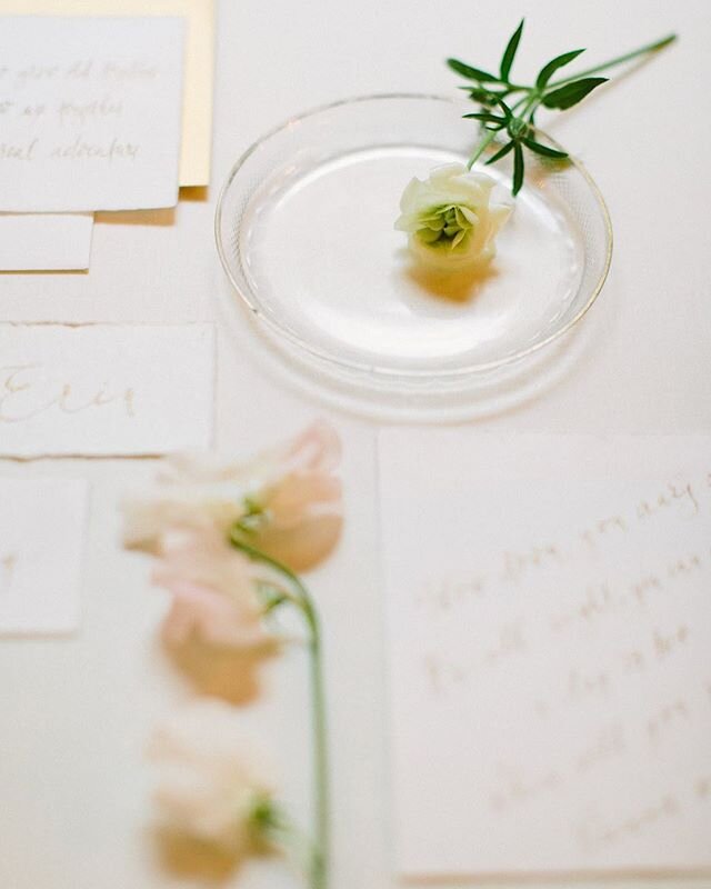 Exchanging handwritten favorite quotes or poems was such a sweet touch at Erin and Danny&rsquo;s wedding! Photography @nikolbodnarovaphotography // planning @highemotionweddings // venue @imperialvienna #littledetails #sweetpeas #ranunculuslove #call