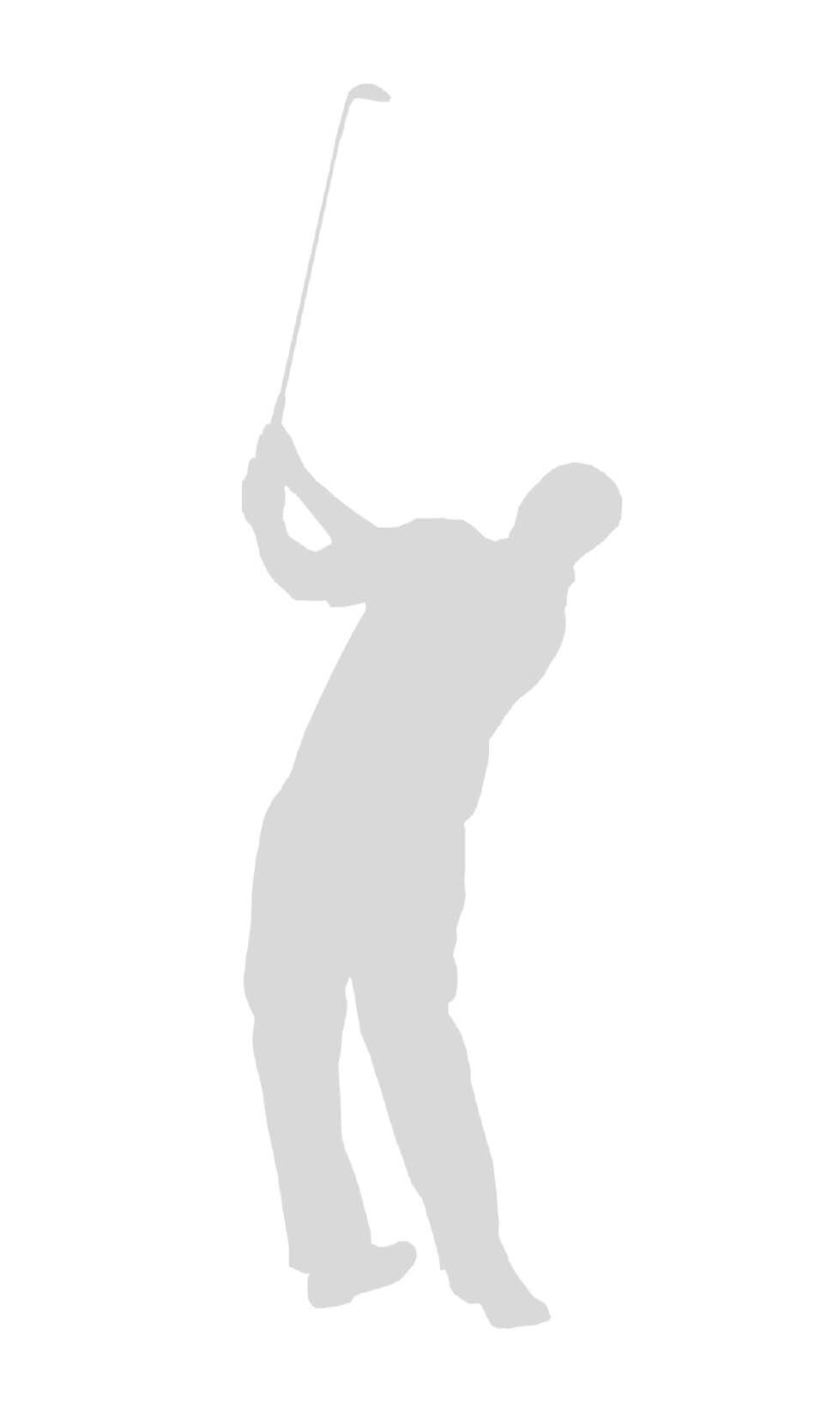 golfer_Silhouette.jpg