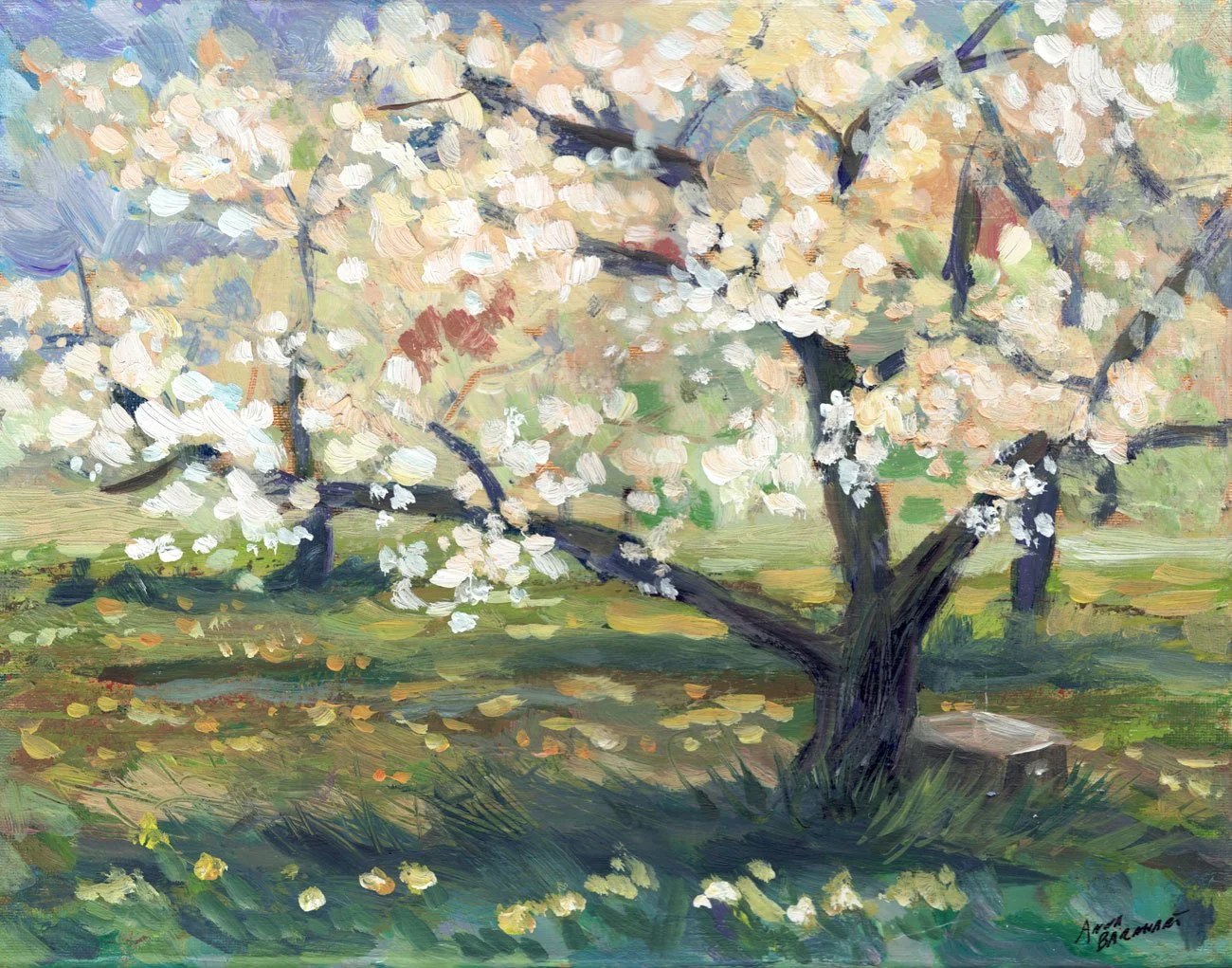Traverse City Cherry Tree in Bloom 9"x12"