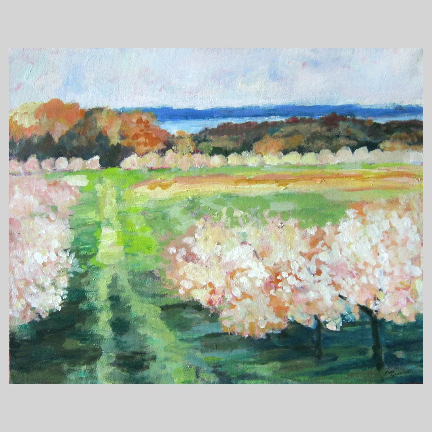 abstract but colorful view of the orchards on the Mission Peninsula in Northern Michigan, looking towards the East Bay. Anna Barnhart