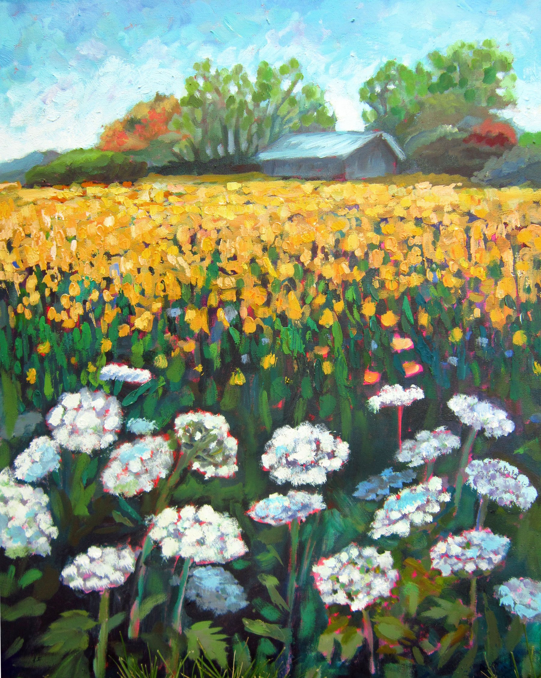 Queen Anne's Lace 18"x24"