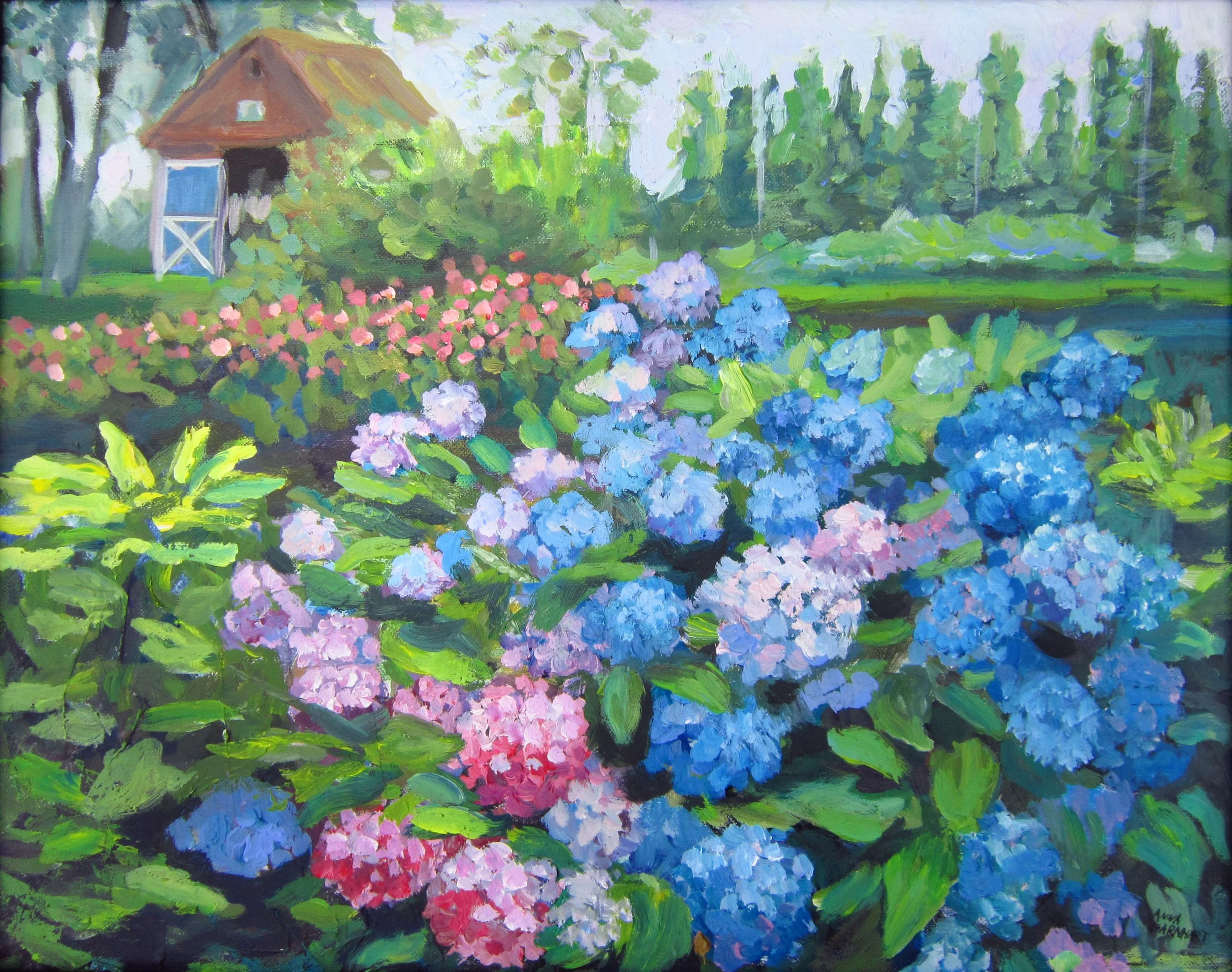 Hydrangas at the Mill 16"x20"