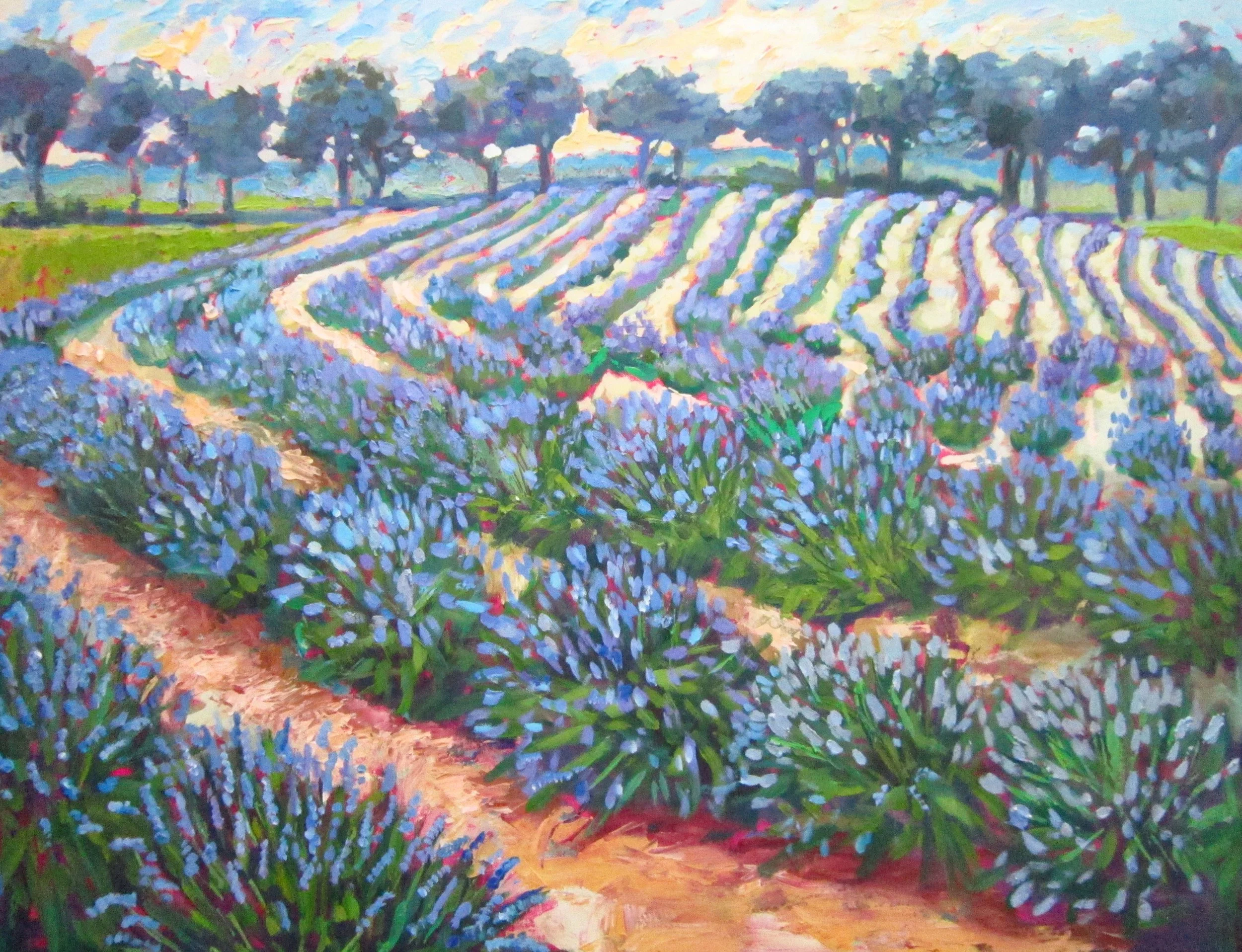 Lavender Field 30"x40"