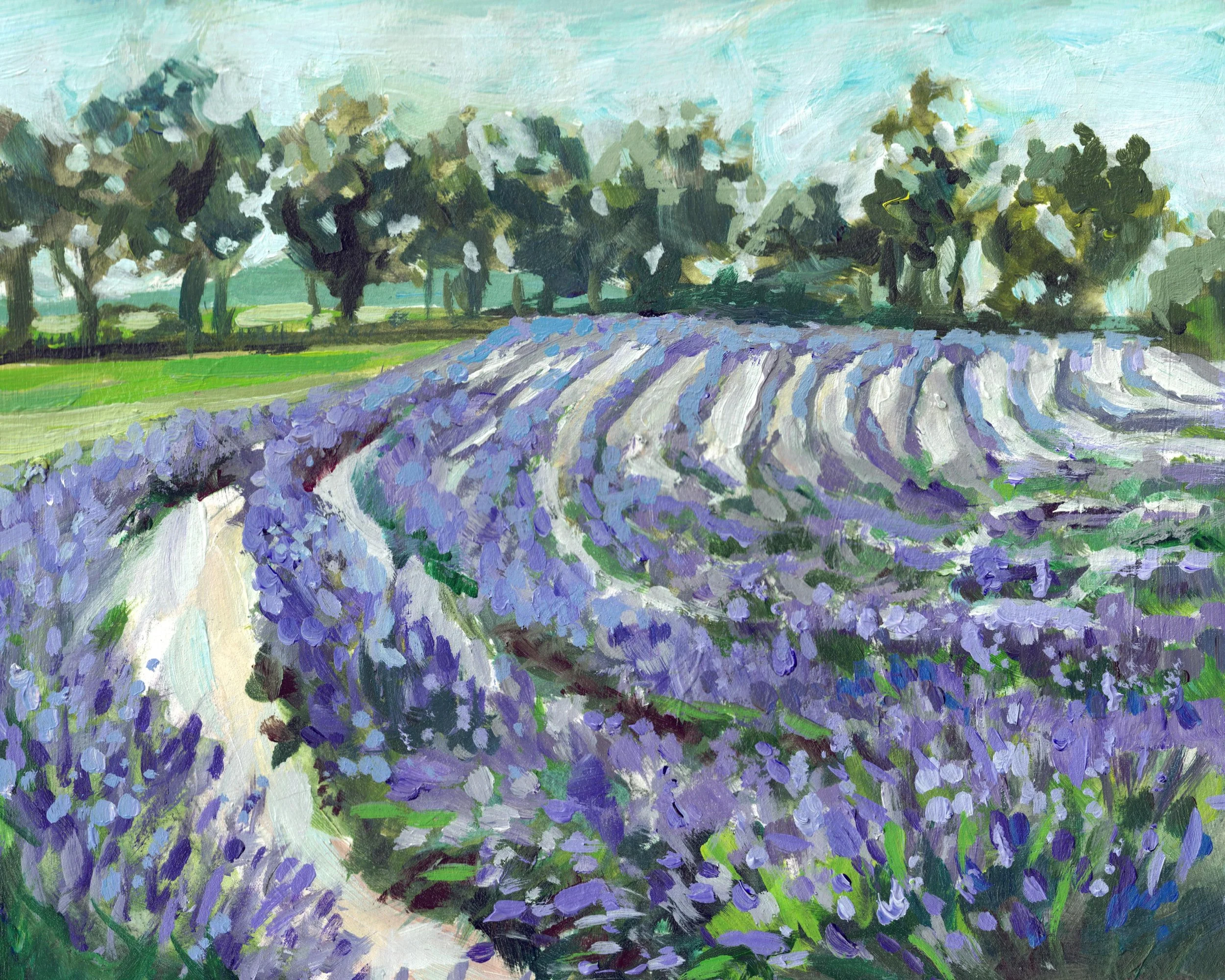 Ocimeae Lavender Farm 8x10