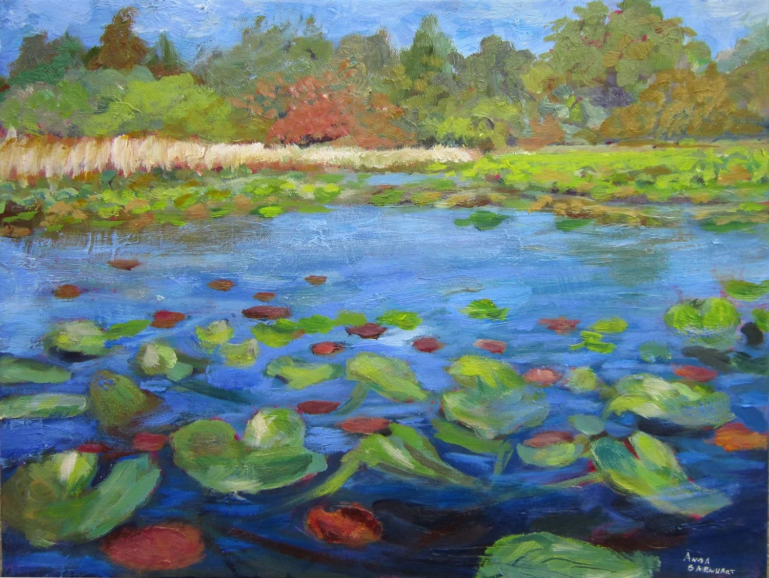 View on the St. Joe River 16"x20"