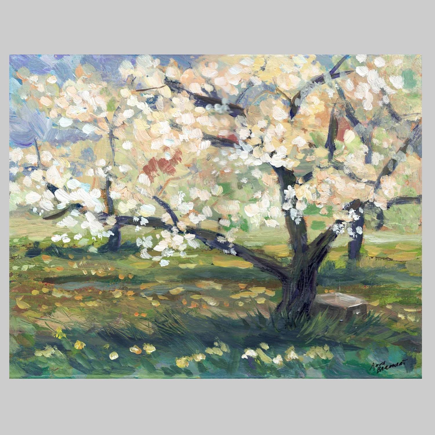 cherry-tree-web impressionist painting of blooming tree by Anna Barnhart