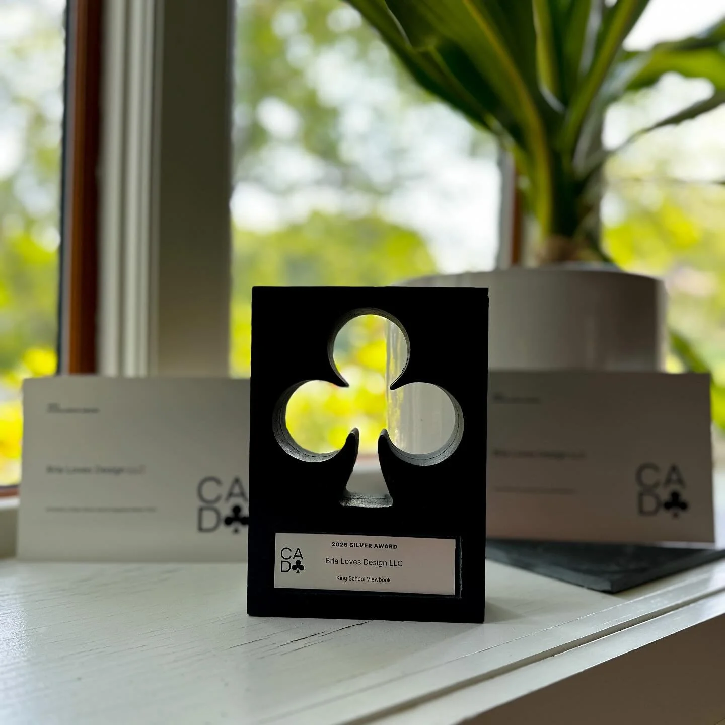 Received a very exciting package in the mail! &clubs;️💌 Honored to have received three awards from the CADC this year&mdash;one silver and two excellences. Grateful to @thecadc for recognizing creative work and supporting so much talent in our small