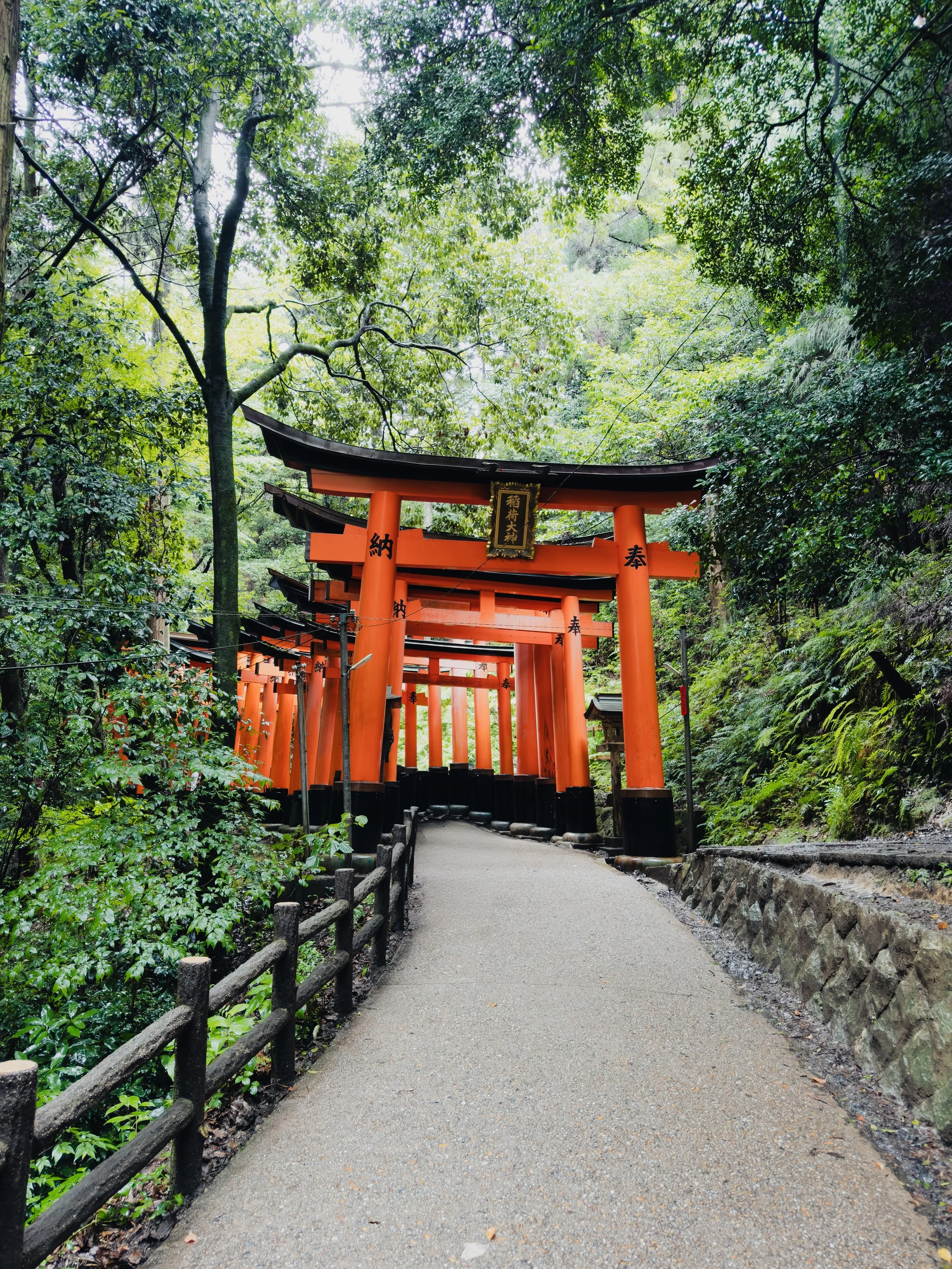 Fushimi Inari-taisha Shrine, Arashiyama Bamboo Forest, and Golden Pavilion today. Countless steps, endless beautiful moments.