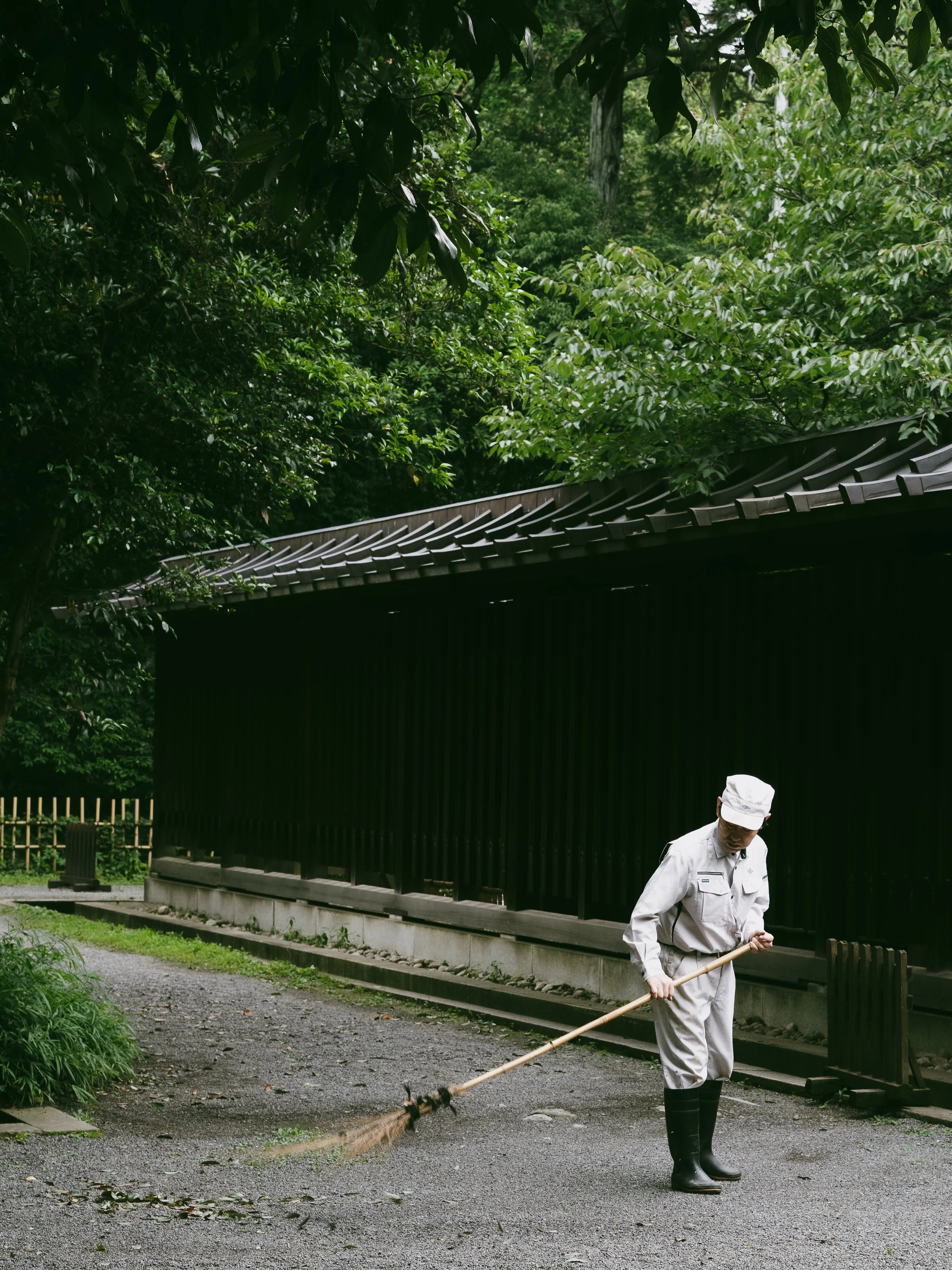 Peaceful moments at Meiji Shinto Shrine ⛩️