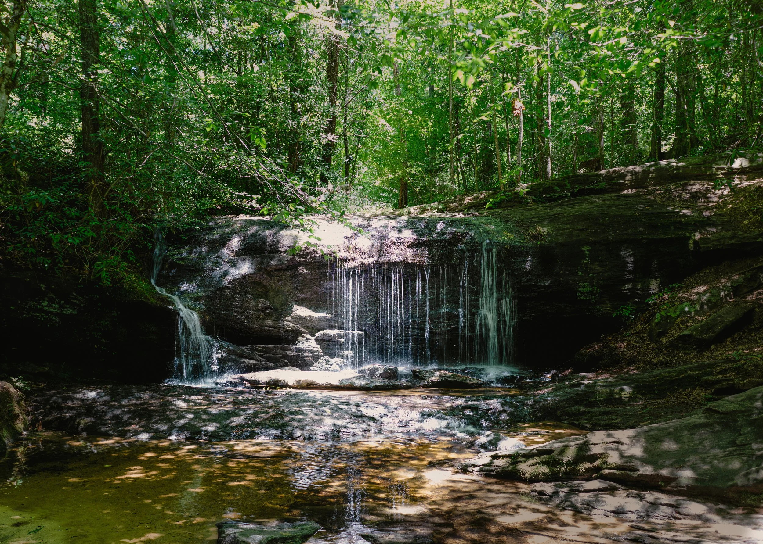 A small waterfall flowing over rocks in a lush, green forest with dense trees and sunlight filtering through the leaves.