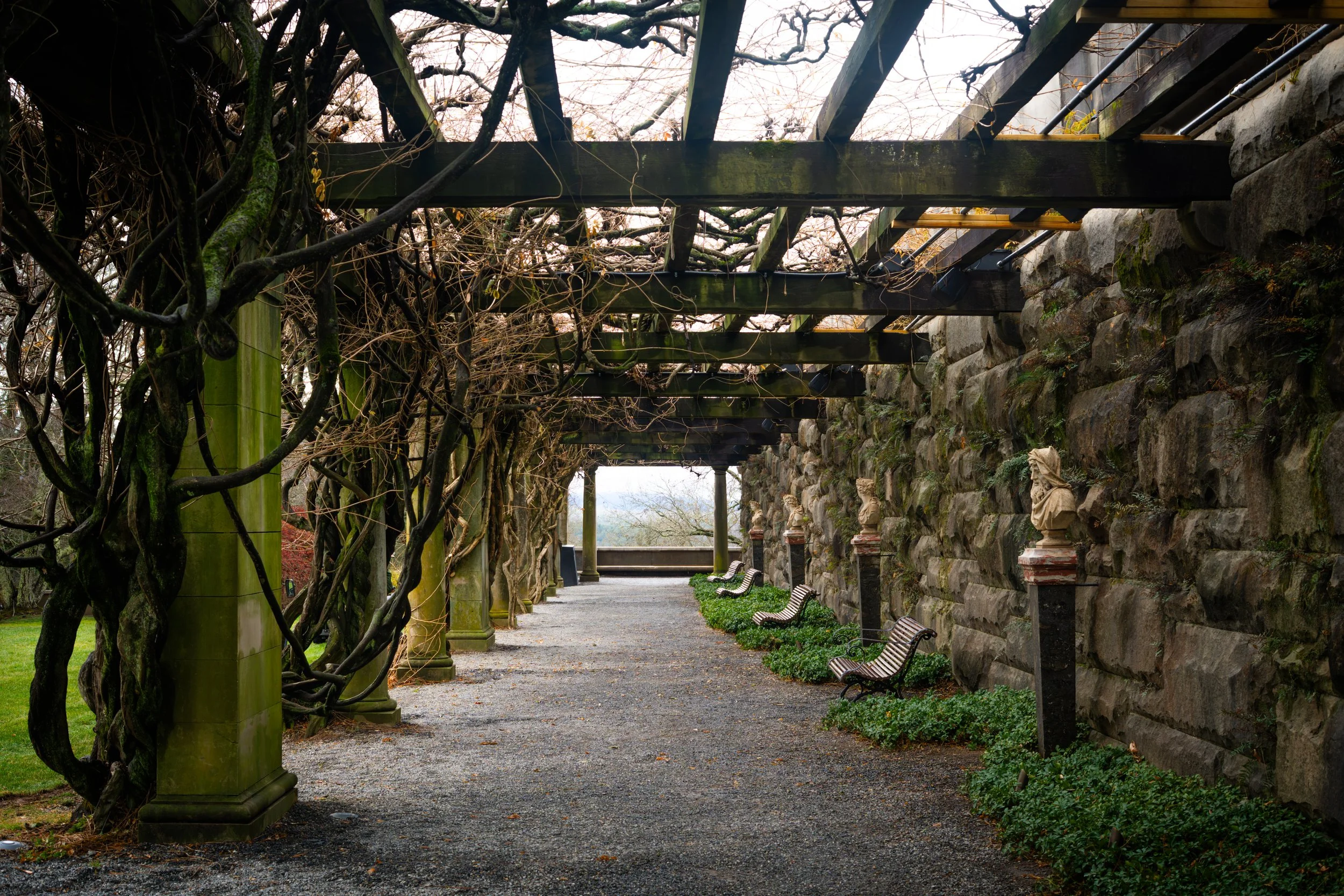 A pathway lined with stone and wooden benches, bordered by a stone wall on one side and a row of trees and columns on the other, with a wooden pergola overhead adorned with climbing plants and vines.