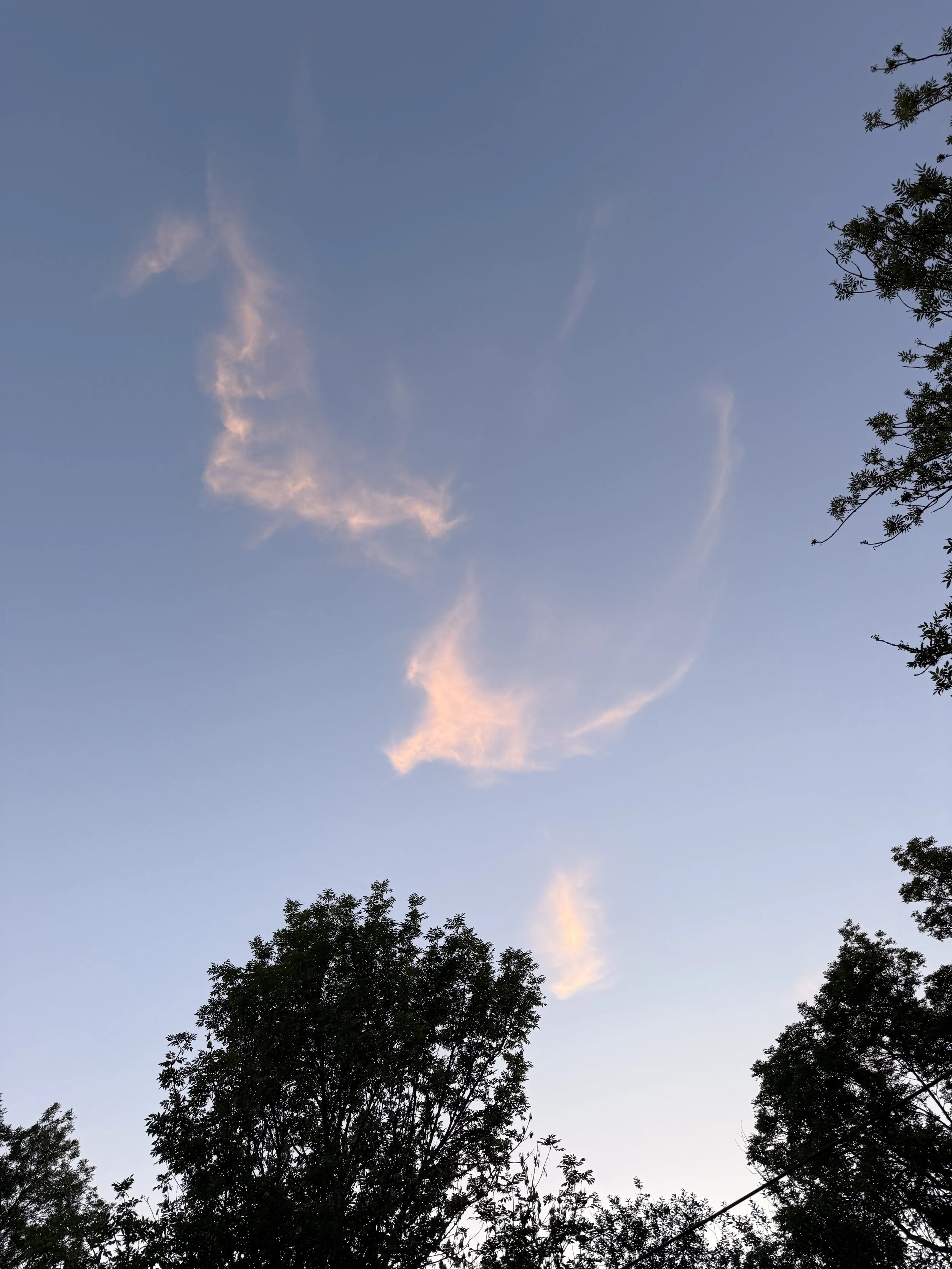 IMG_3041.jpeg