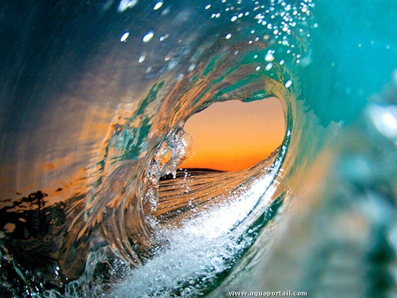 Surfin' Geneva