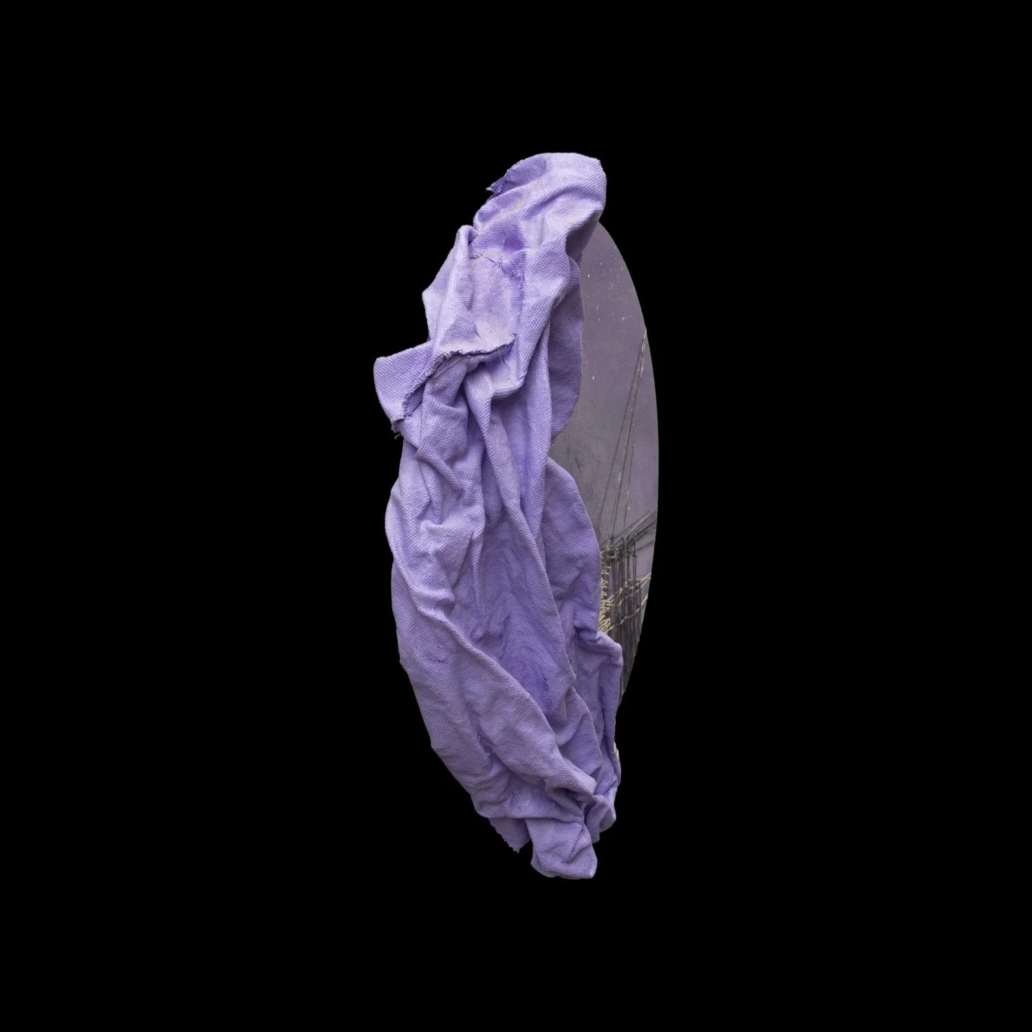 violet_in_round_06.jpg