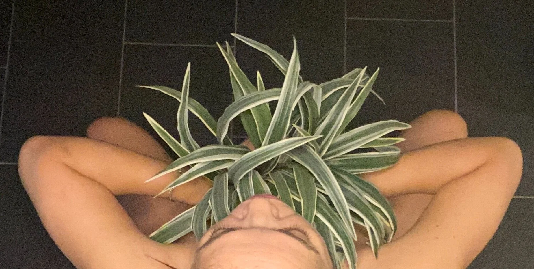 hojarasca