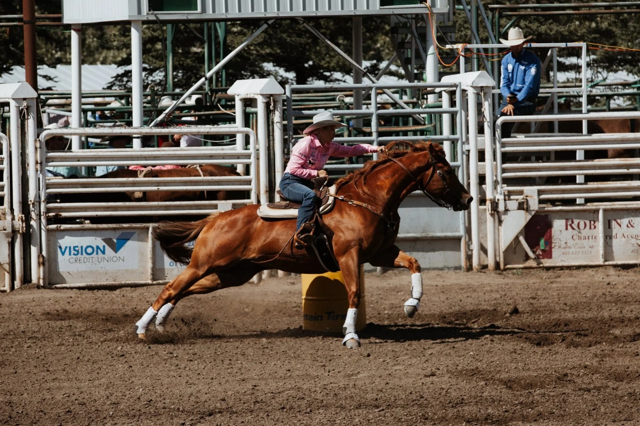 Pincher Creek Pro Rodeo Schedule — Pincher Creek Pro Rodeo
