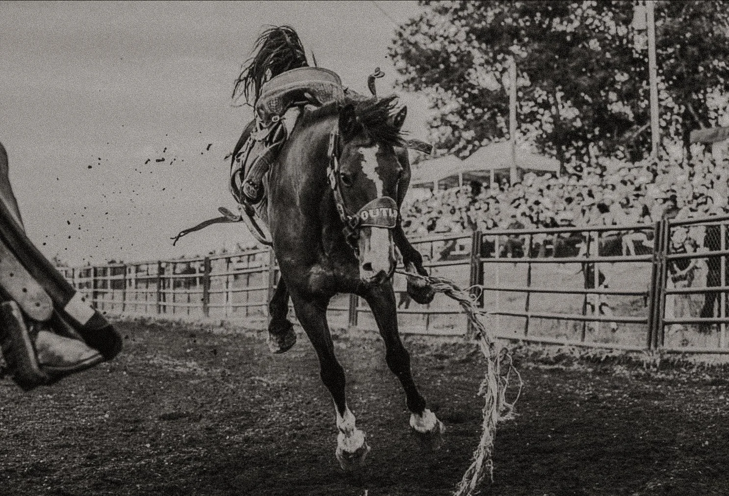 Pincher Creek Pro Rodeo