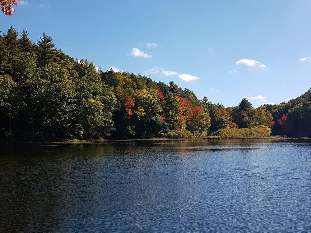 Drop-In Fall Paddle