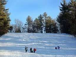 A VERY CHRONIC SNOW DAY