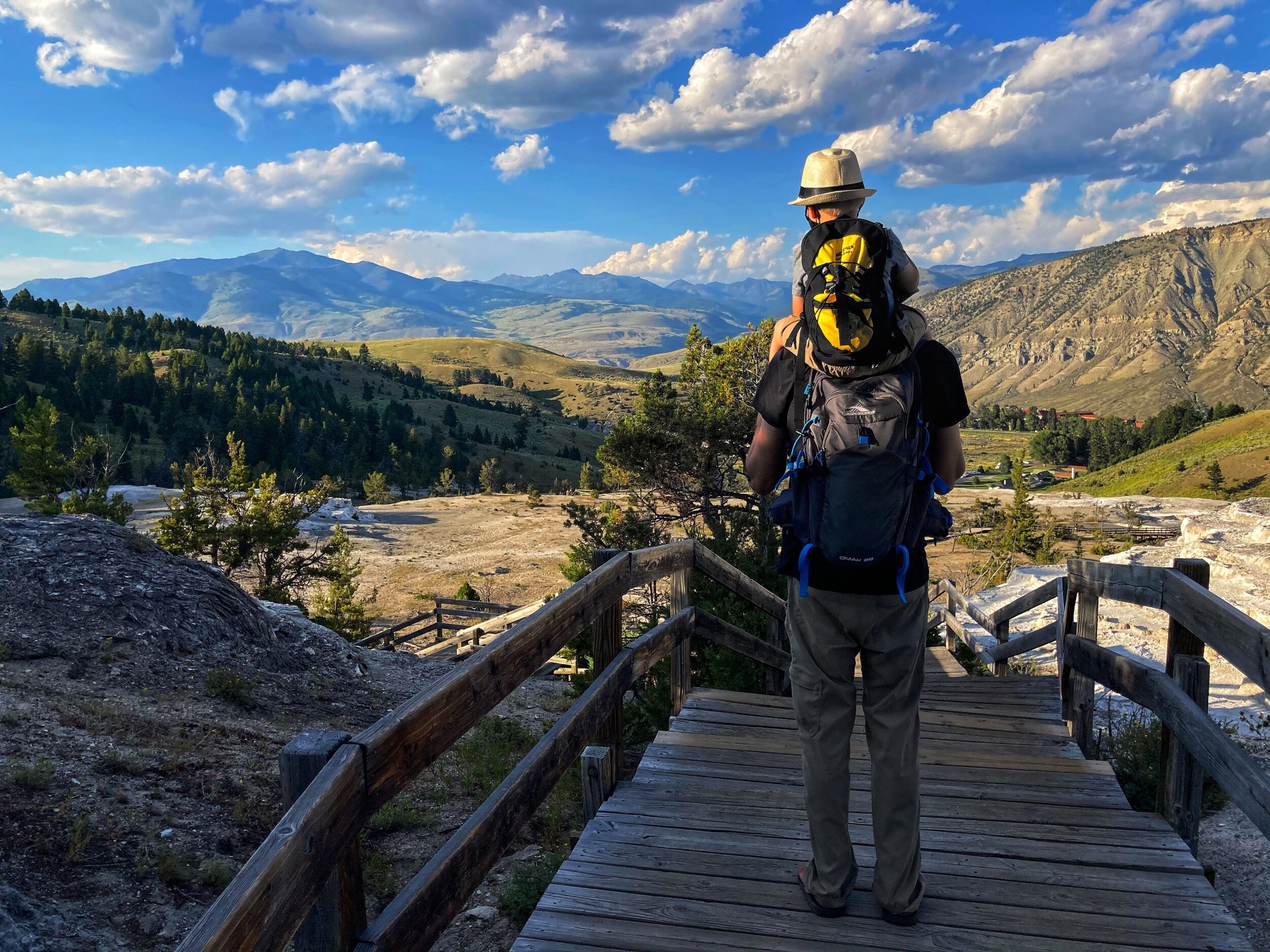 Mammoth Hot Springs Overlook