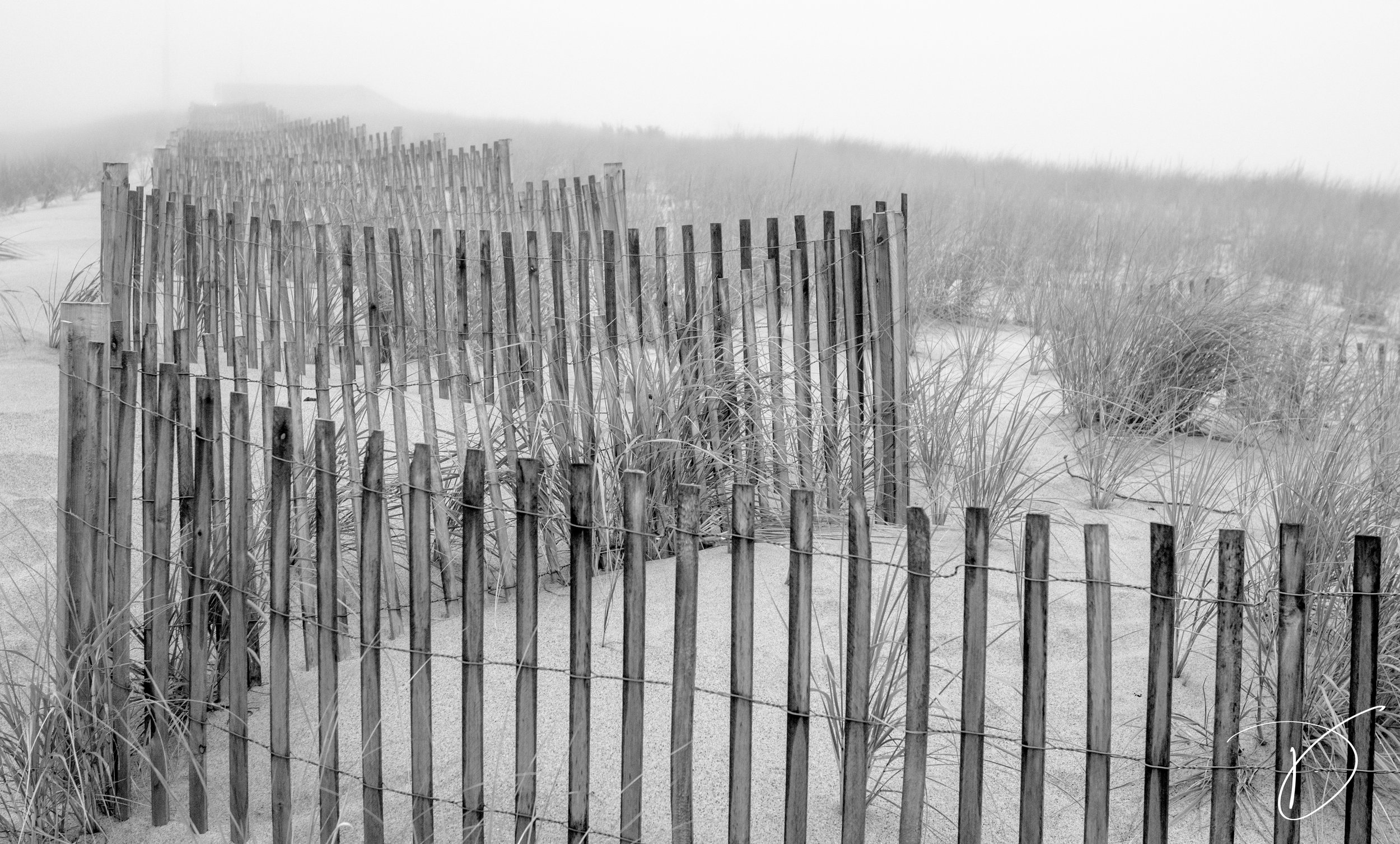 430 - Nauset Sands
