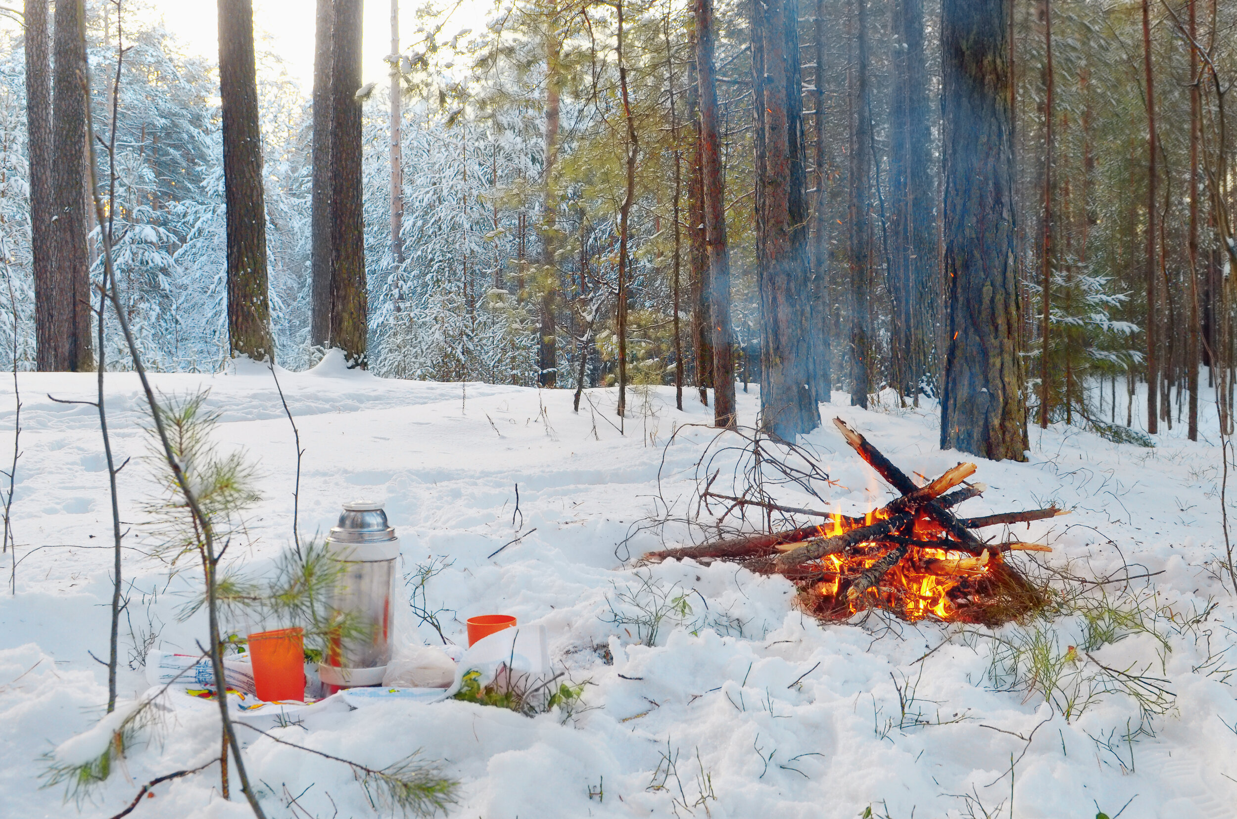 Winter Camping in Canada_Campfire.jpg