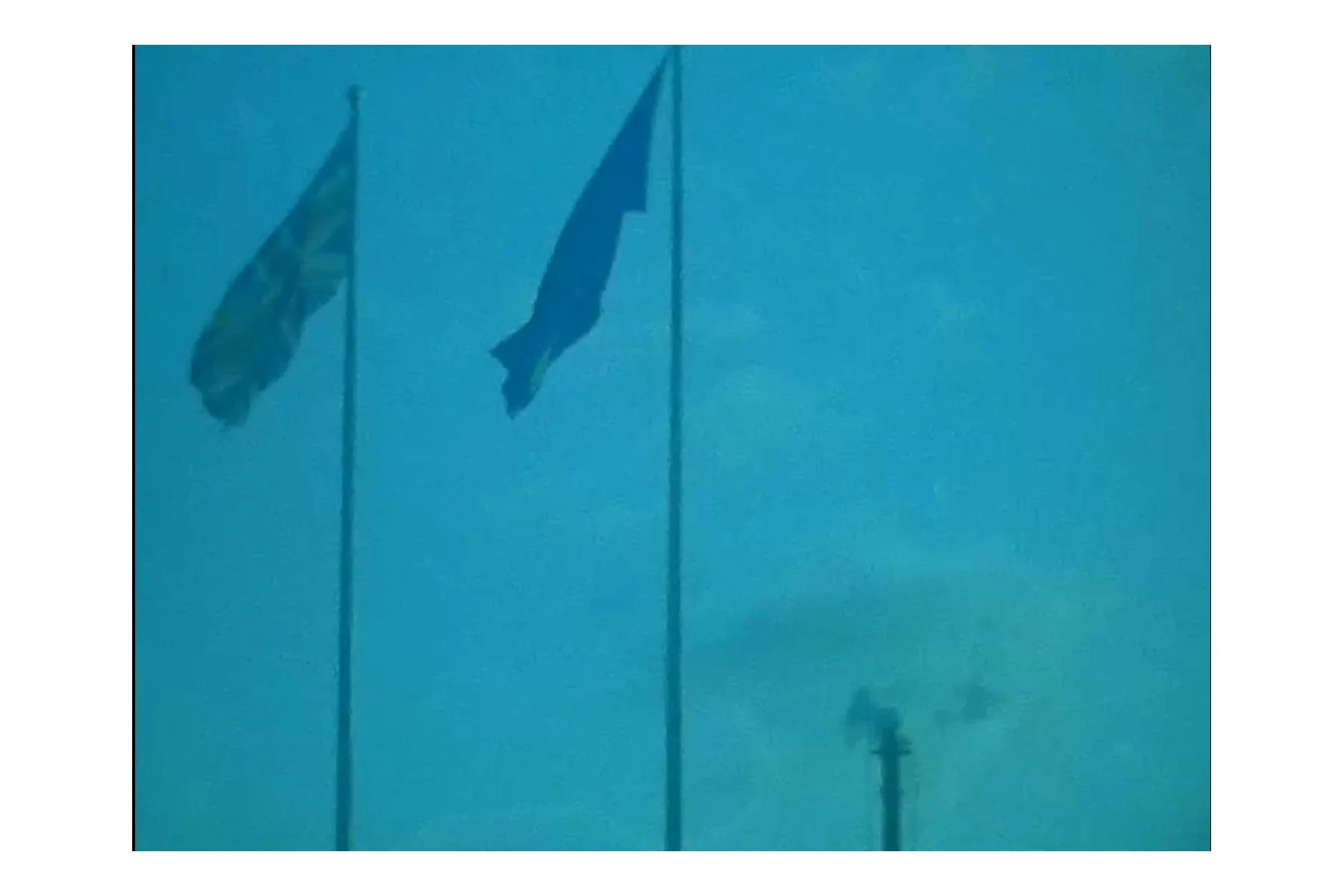 flags.jpg