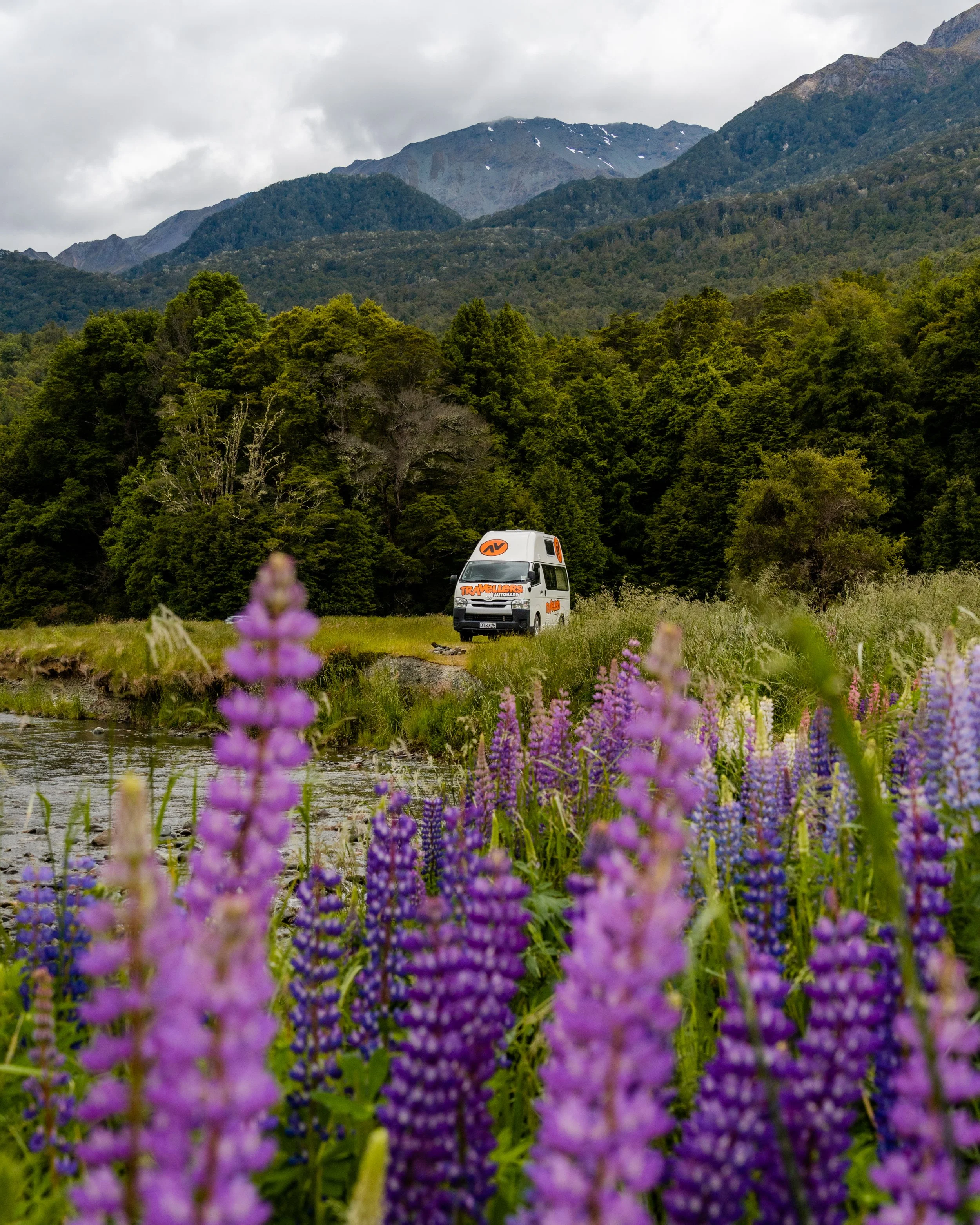 Kuga Campervan_South Island_Fiordland Naitonal Park.jpg