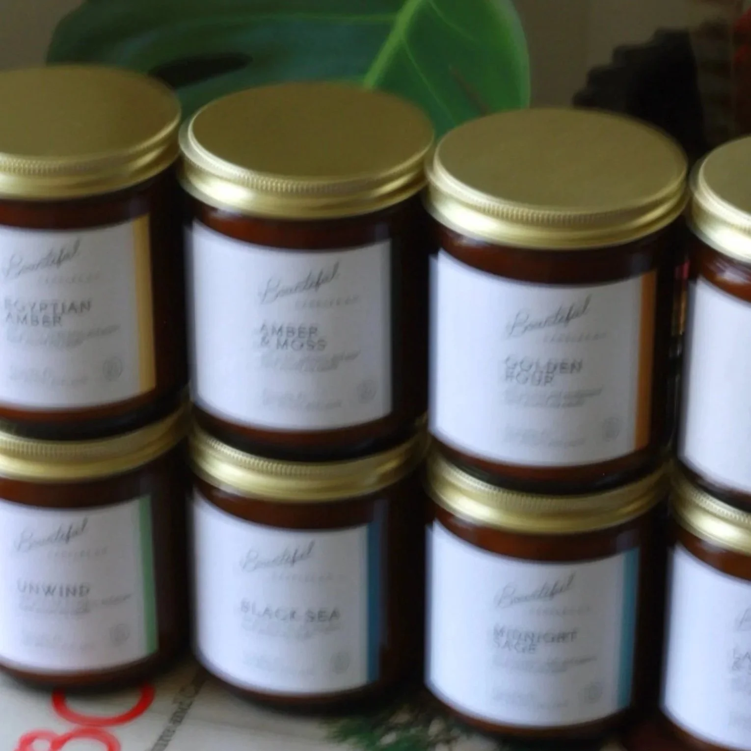 The House of Bountiful Collection