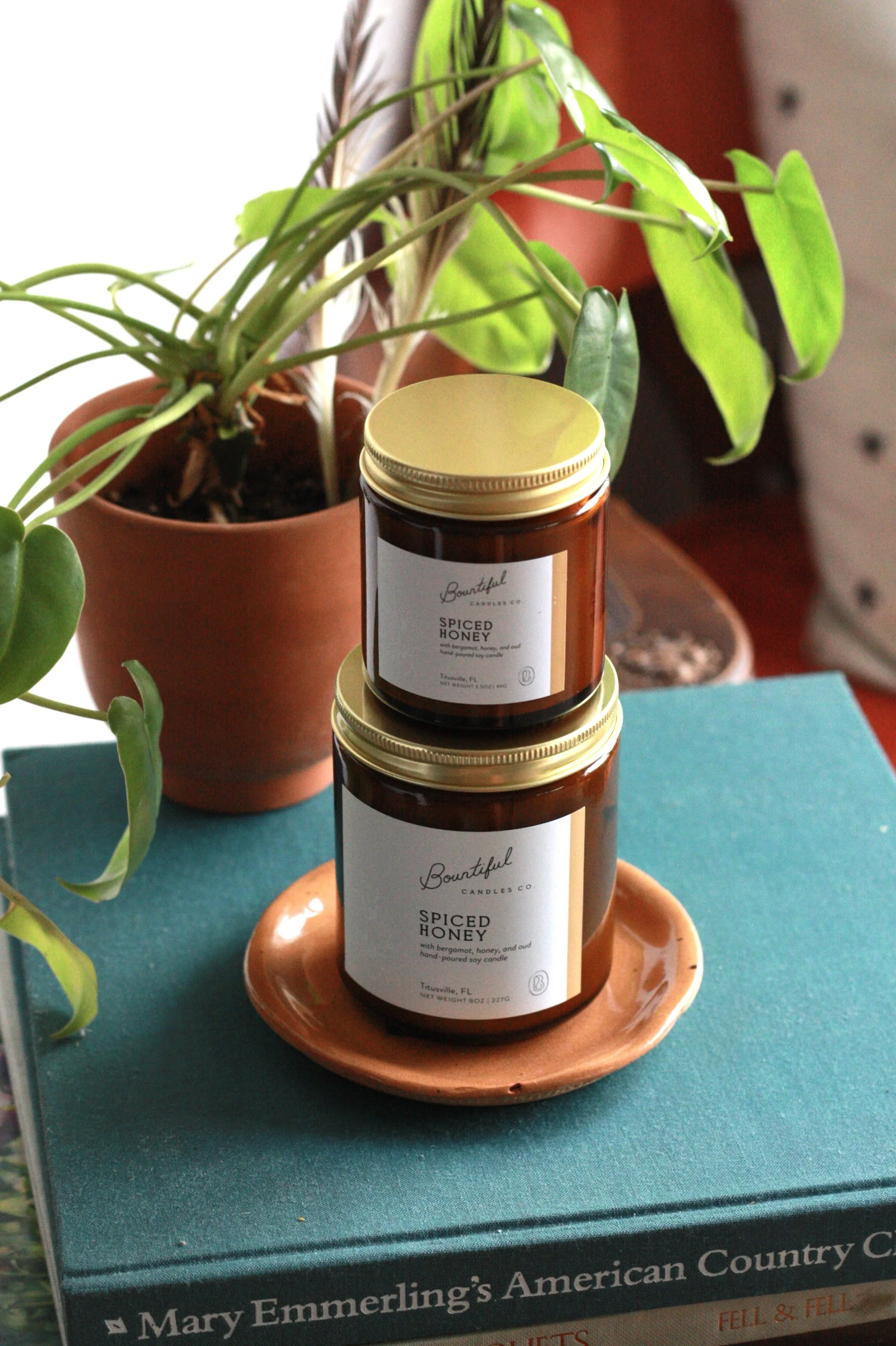 Spiced Honey