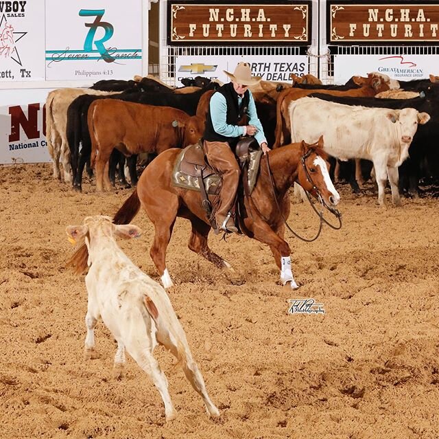 Heidi on Violets R Baloo at the @nchacutting futurity.