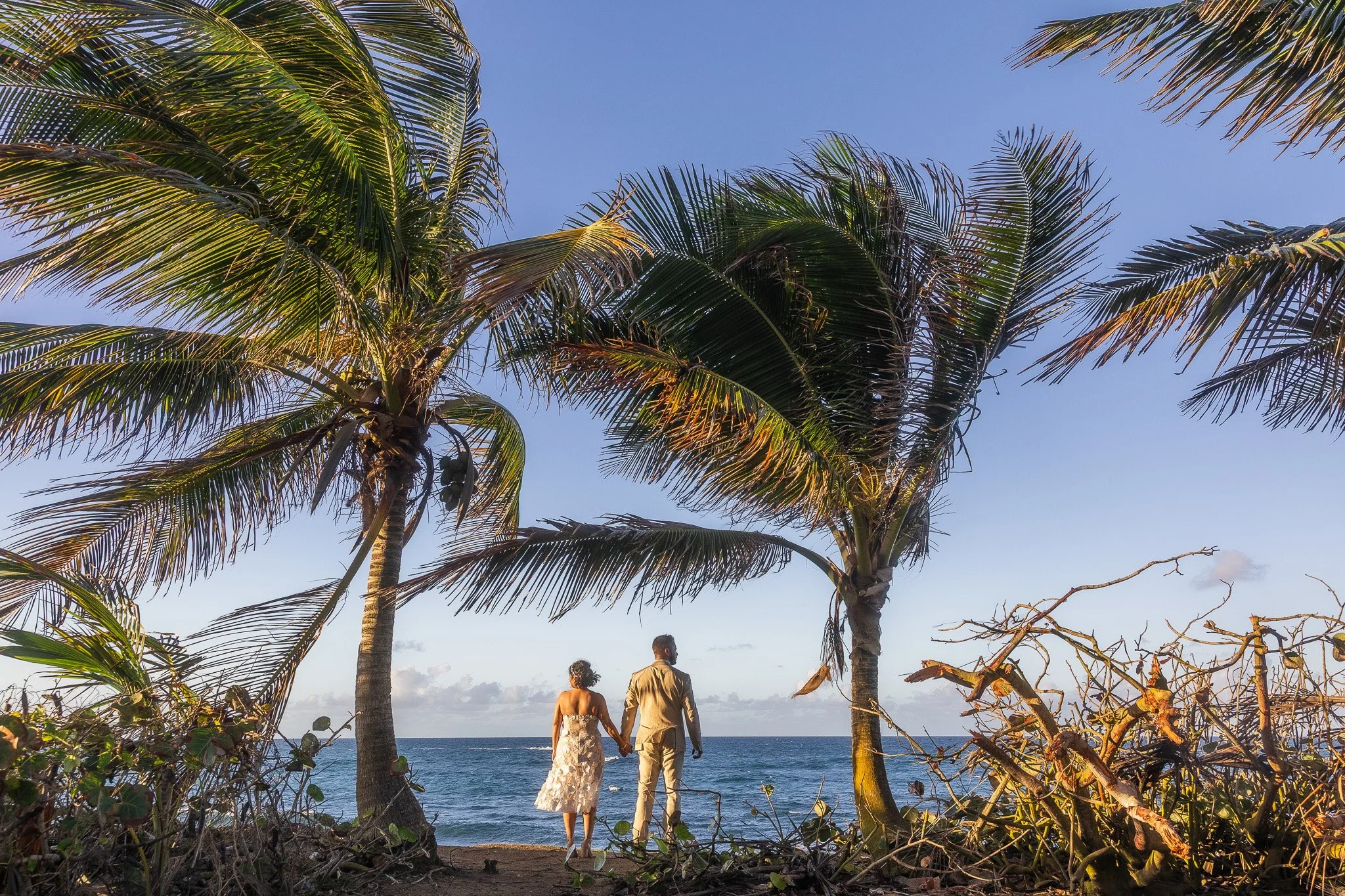 The Best Luxury Resorts in Puerto Rico for The Escapade Experience