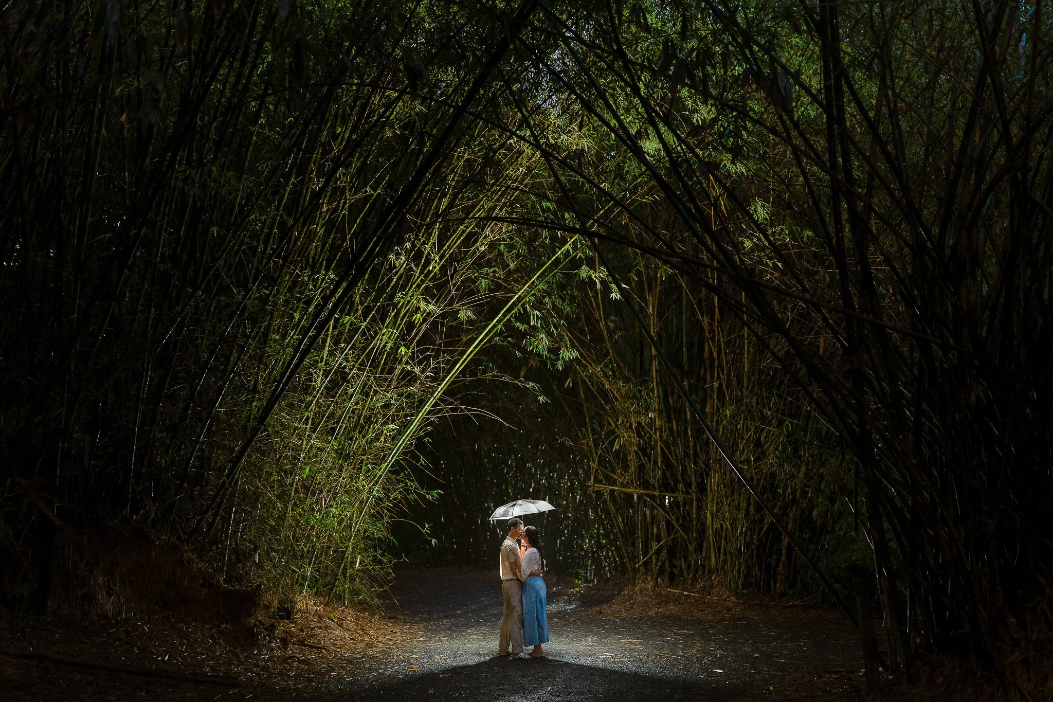 A Rainy Day Marriage Proposal at the Jardín Botánico in Puerto Rico