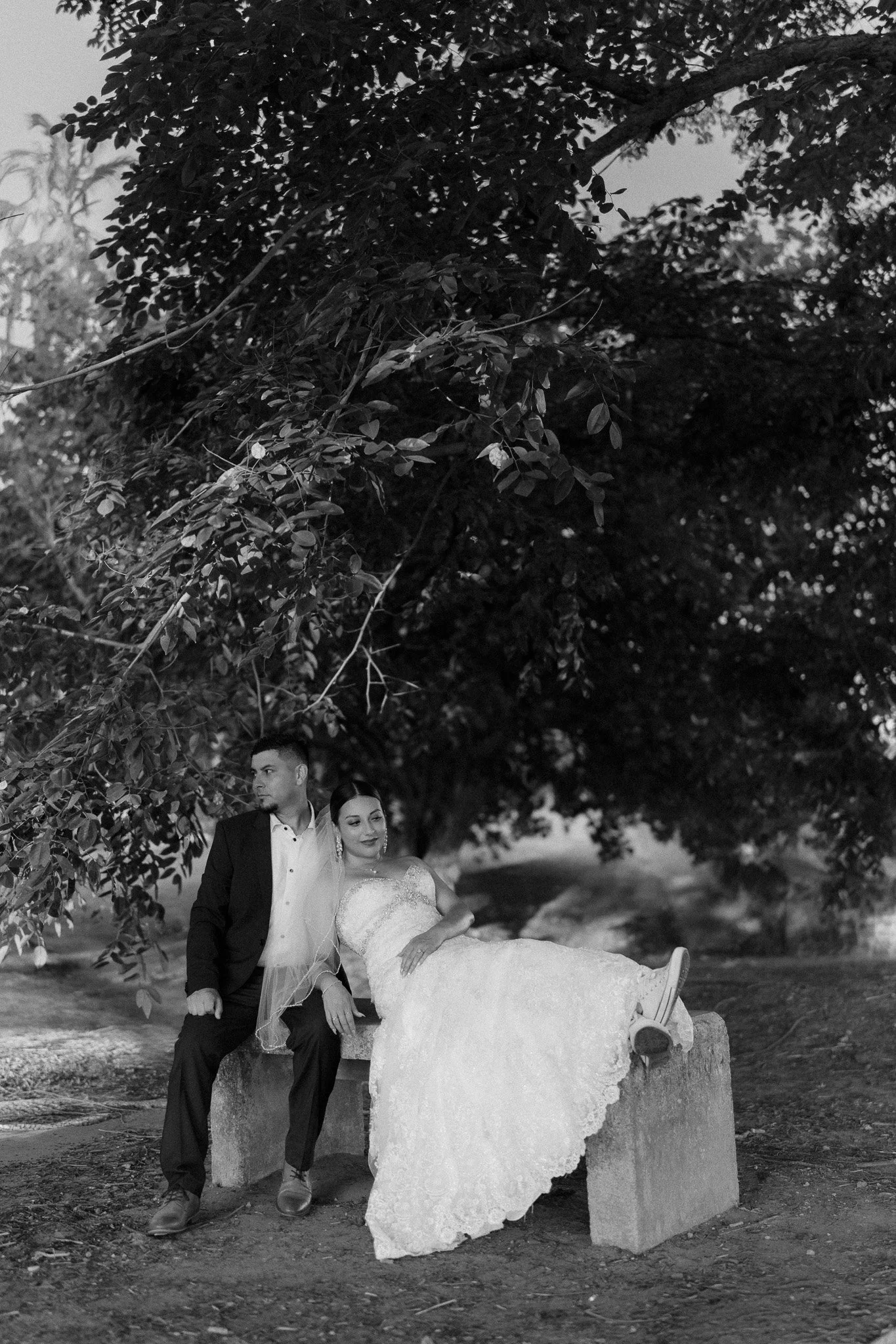 Black and white photograph of a bride and groom relaxing beneath a historic tree during their intimate Old San Juan, Puerto Rico destination elopement.