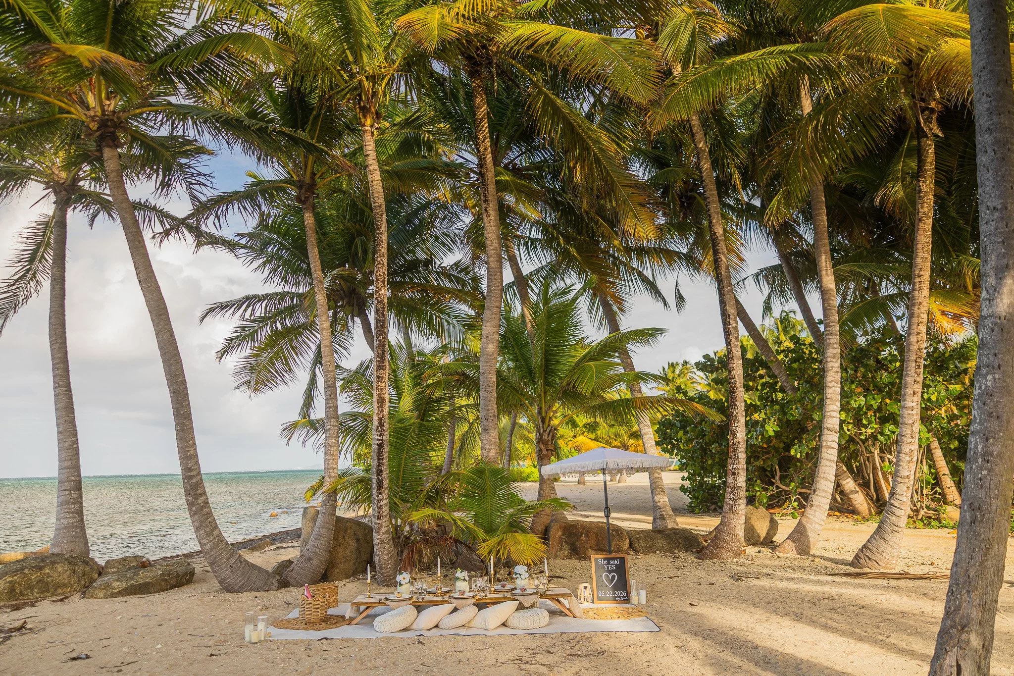 Elegant beachfront marriage proposal setup beneath swaying palm trees at Hyatt Regency Grand Reserve in Puerto Rico, featuring a decorated picnic table, floor cushions, candles, floral details, and a sign celebrating the engagement.