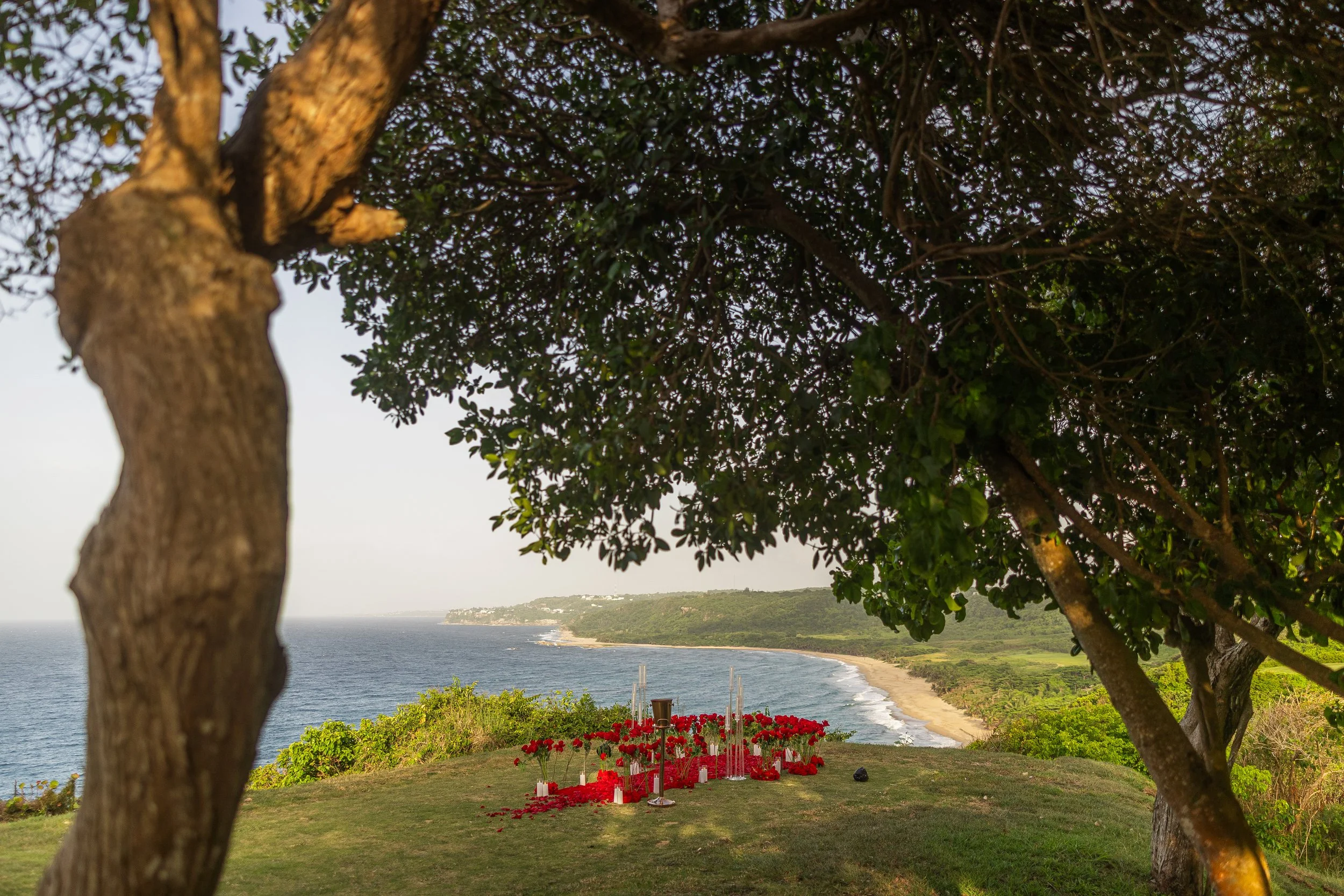 Luxury marriage proposal decoration at Royal Isabela taken by a destination wedding photographer in Puerto Rico