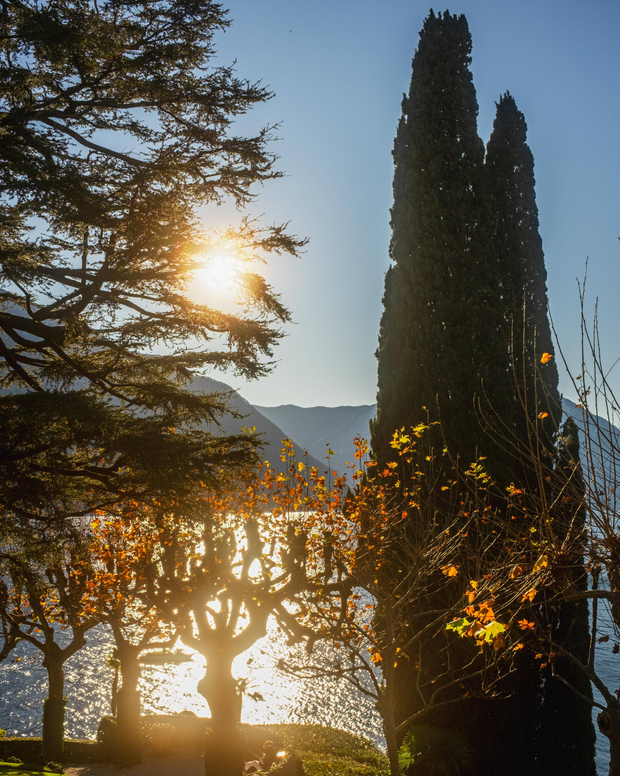 Golden sunlight filtering through trees overlooking Lake Como near Villa del Balbianello.
