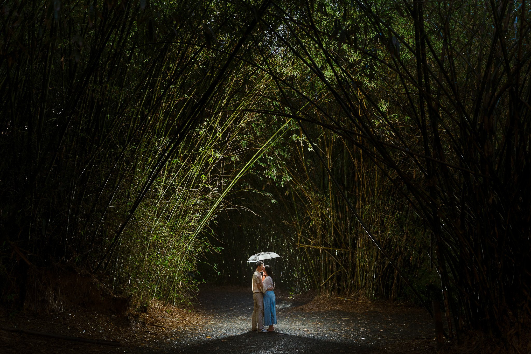 Cinematic marriage proposal taken by a destination elopement wedding photographer in Puerto Rico