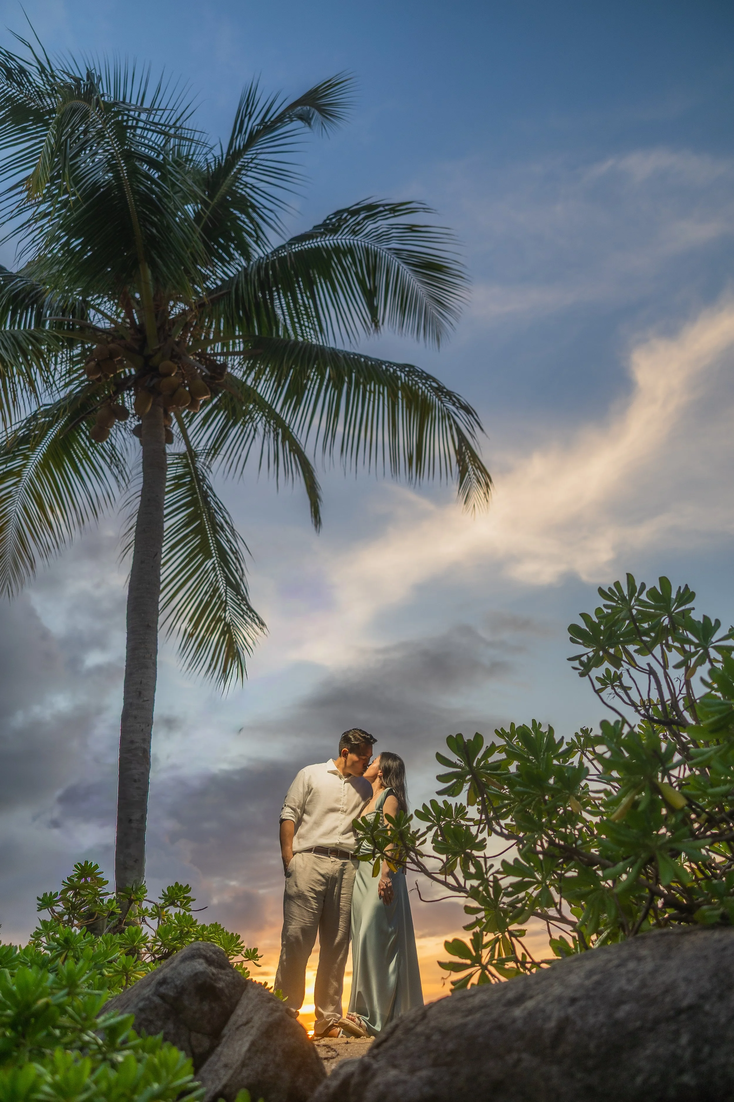 Newly engaged couple sharing a kiss beneath a towering palm tree during sunset at Hyatt Regency Grand Reserve in Puerto Rico. The tropical landscape, dramatic sky, and lush greenery frame the couple following their luxury marriage proposal.