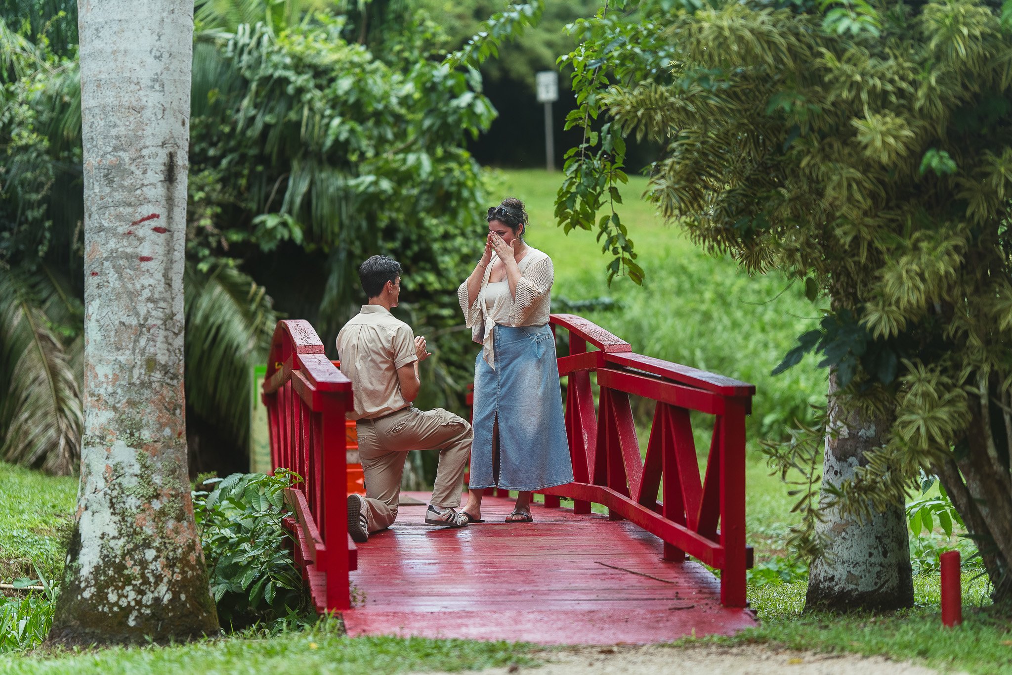 Man proposing to woman at Jardín Botánico de la Universidad de Puerto Rico