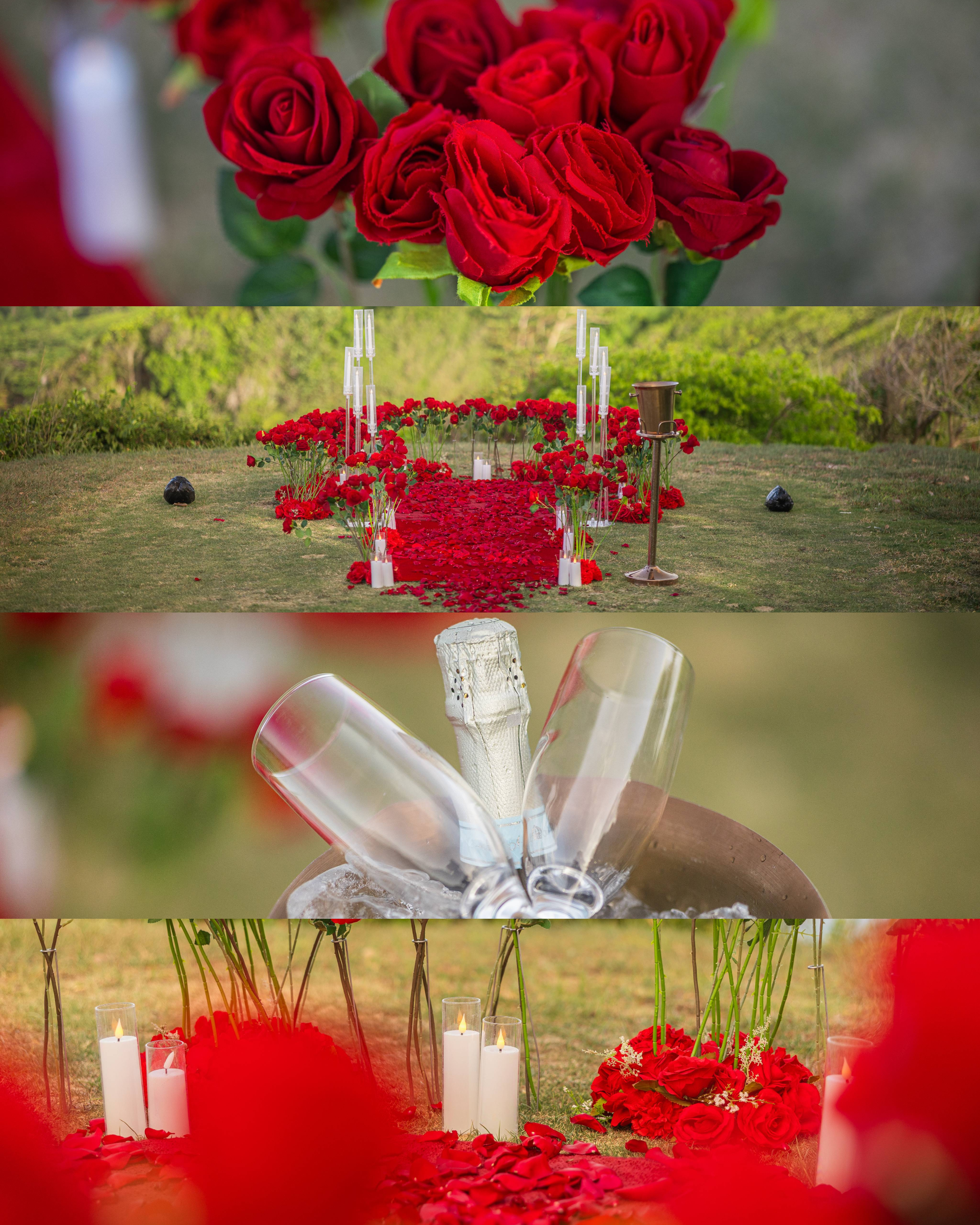Luxury surprise proposal setup at Royal Isabela featuring red roses, candles, champagne, and oceanfront views in Puerto Rico.