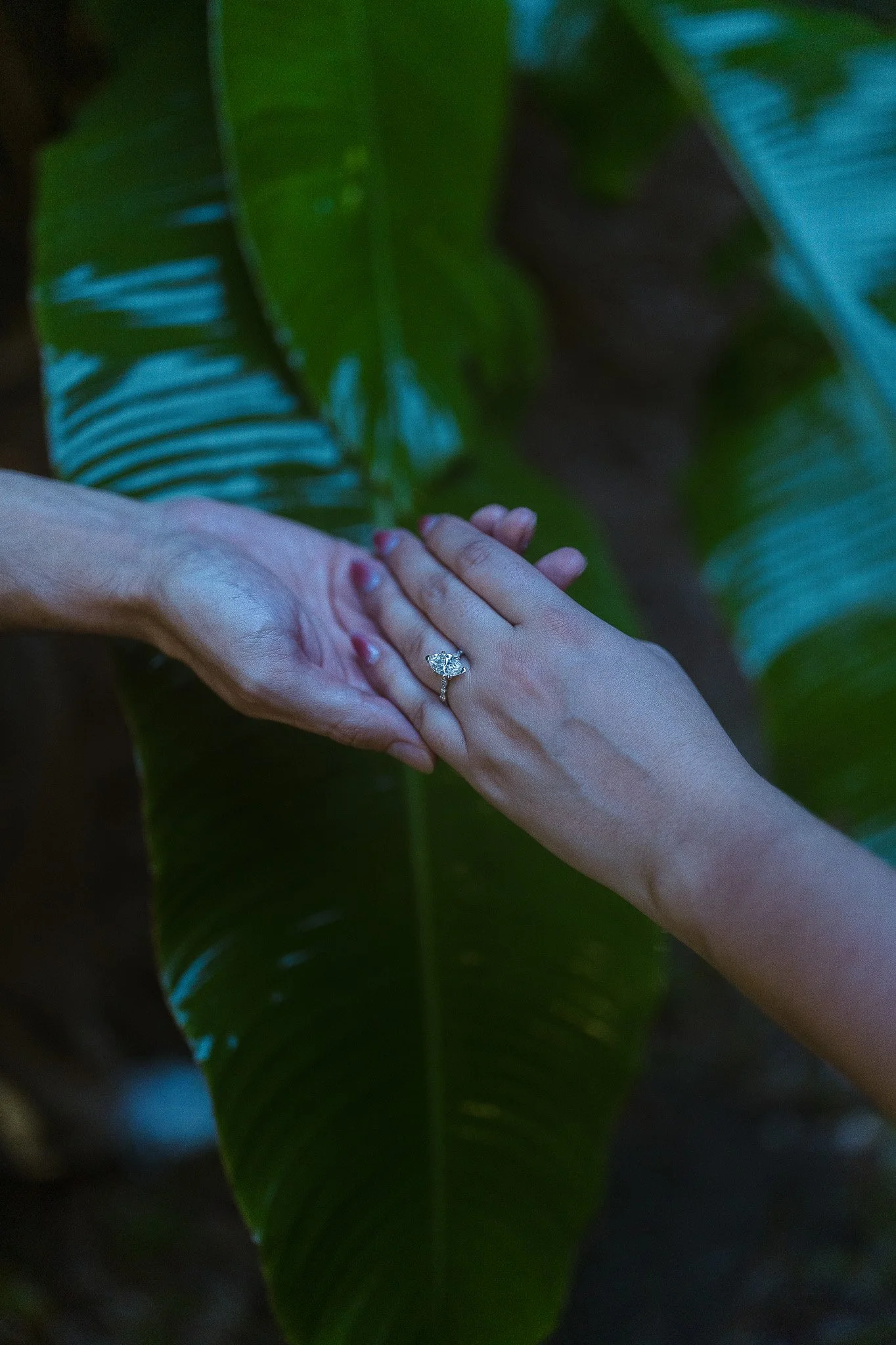 Luxury engagement ring taken by a destination marriage proposal photographer in Puerto Rico