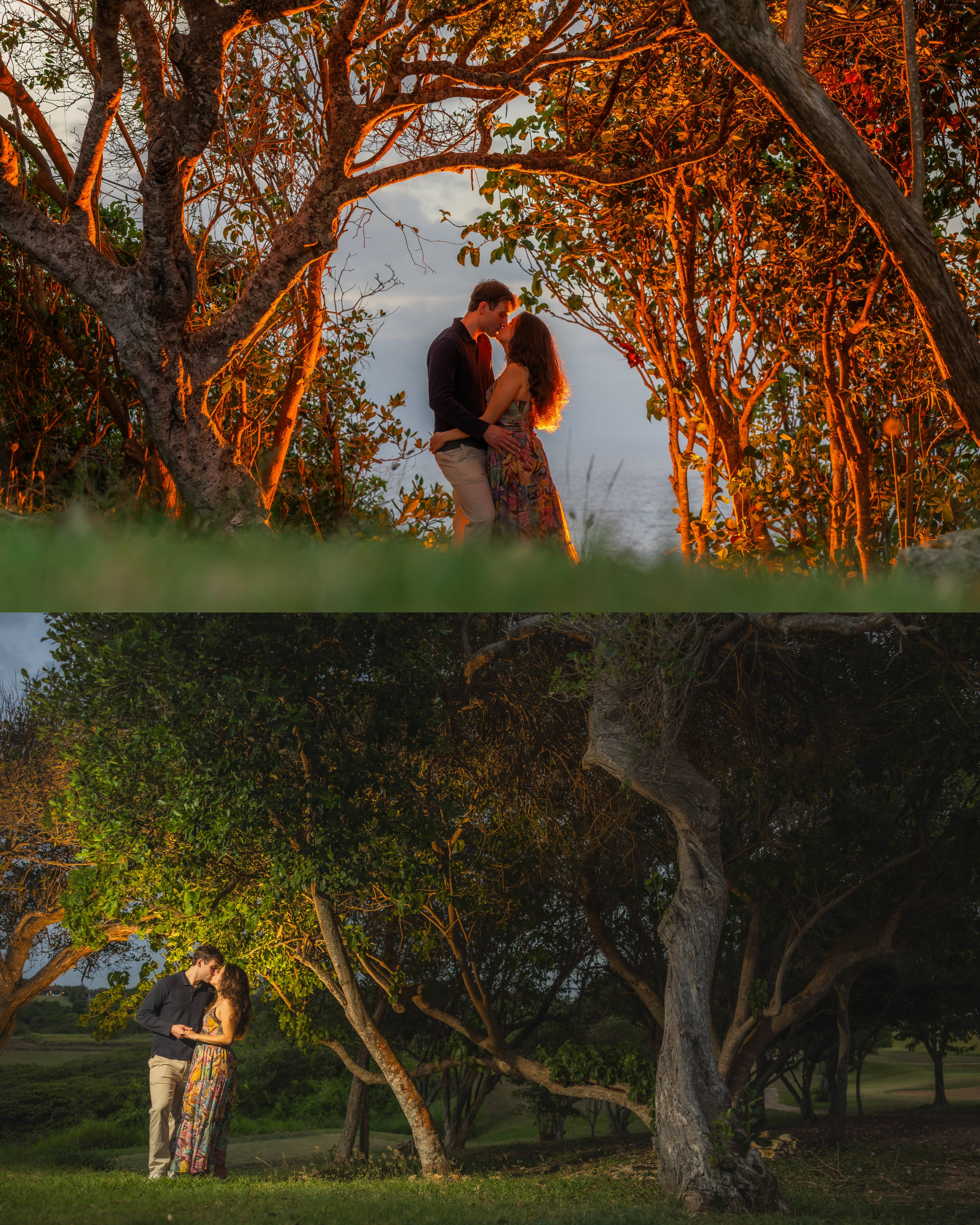 Engaged couple sharing a romantic golden hour portrait beneath illuminated trees at Royal Isabela, Puerto Rico.