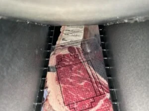 ribeyegrid-300x225.jpg