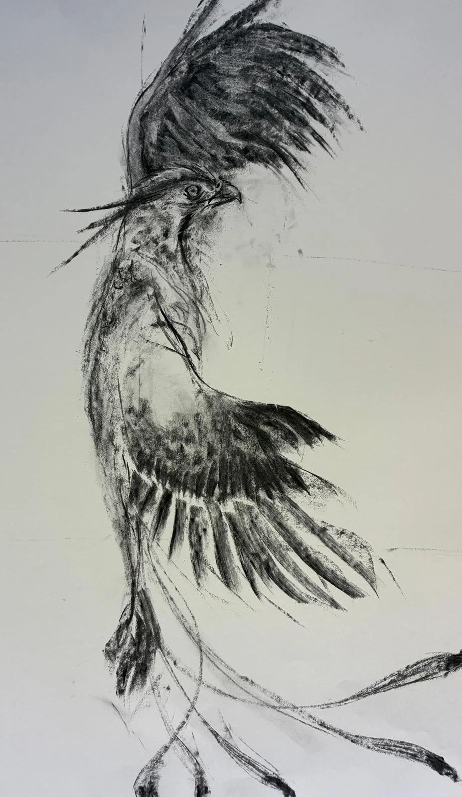 WhatsApp Image 2025-12-08 at 21.24.28-2.jpeg