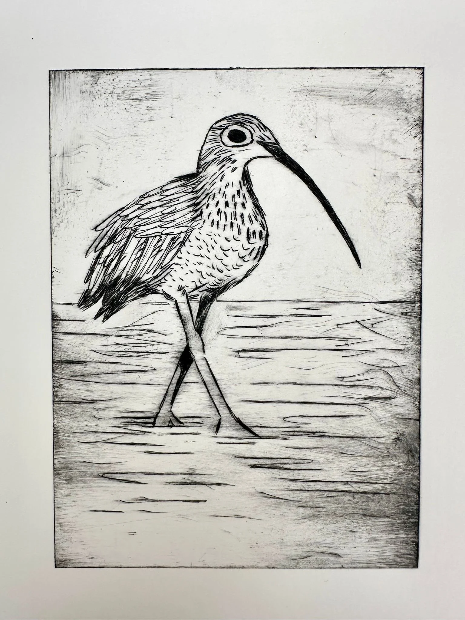 Dry Point Etching Curlews w. Lisa Stubbs