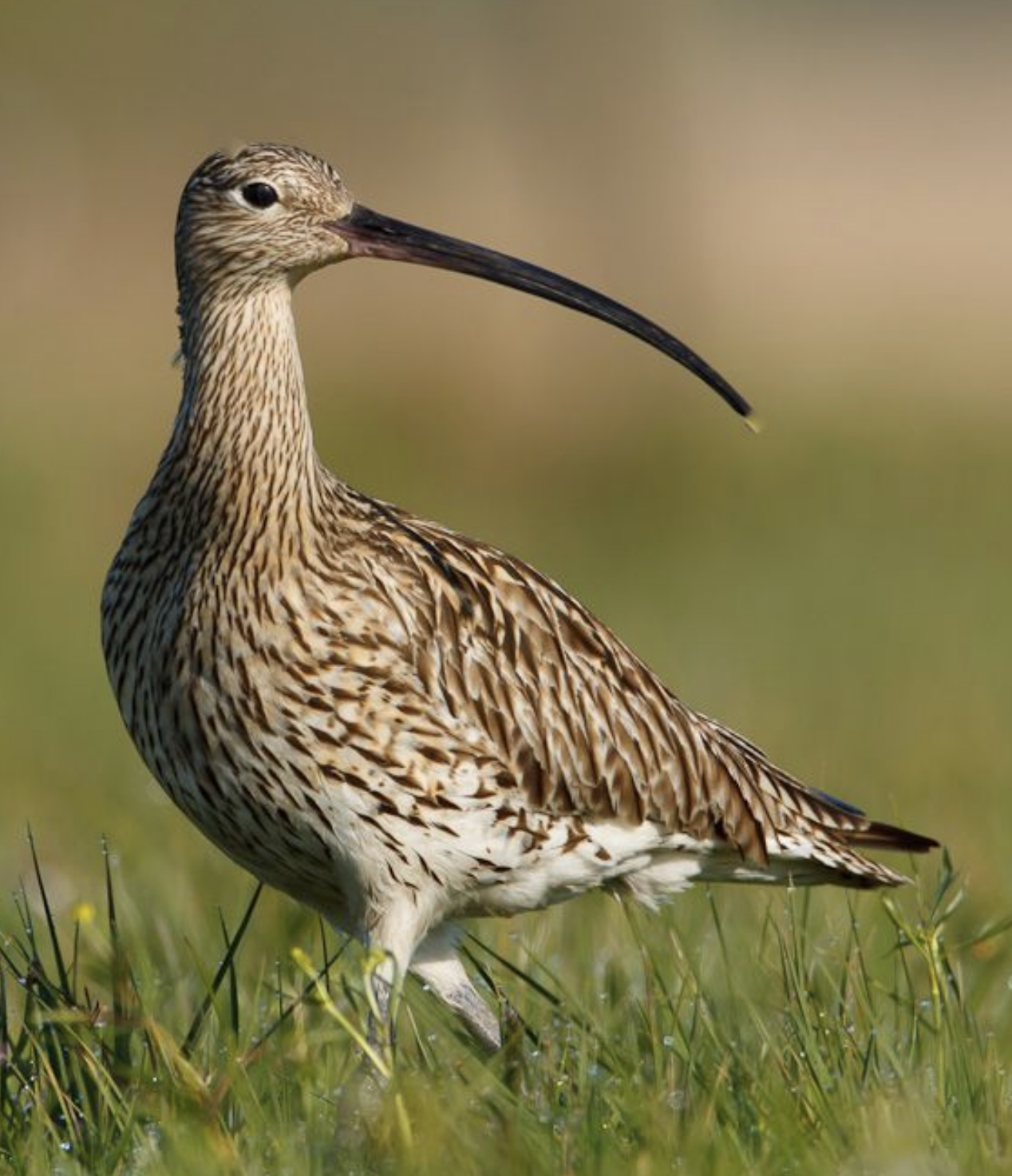 Screenshot 2026-03-09 at 12.30.05.png